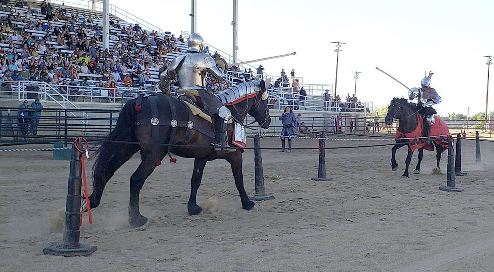medieval jousting horse