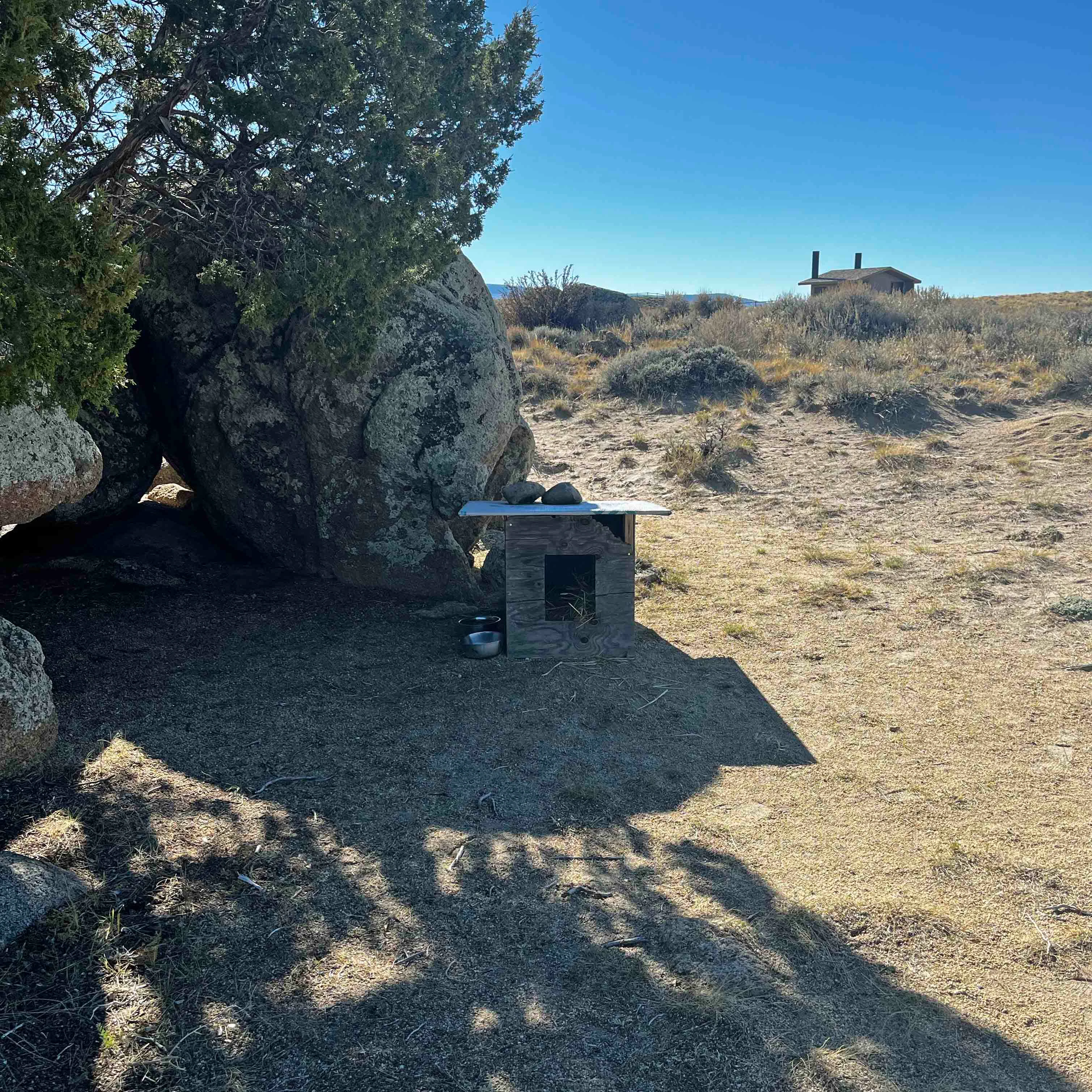 A doghouse near the rest stop that volunteers made for the stray dog
