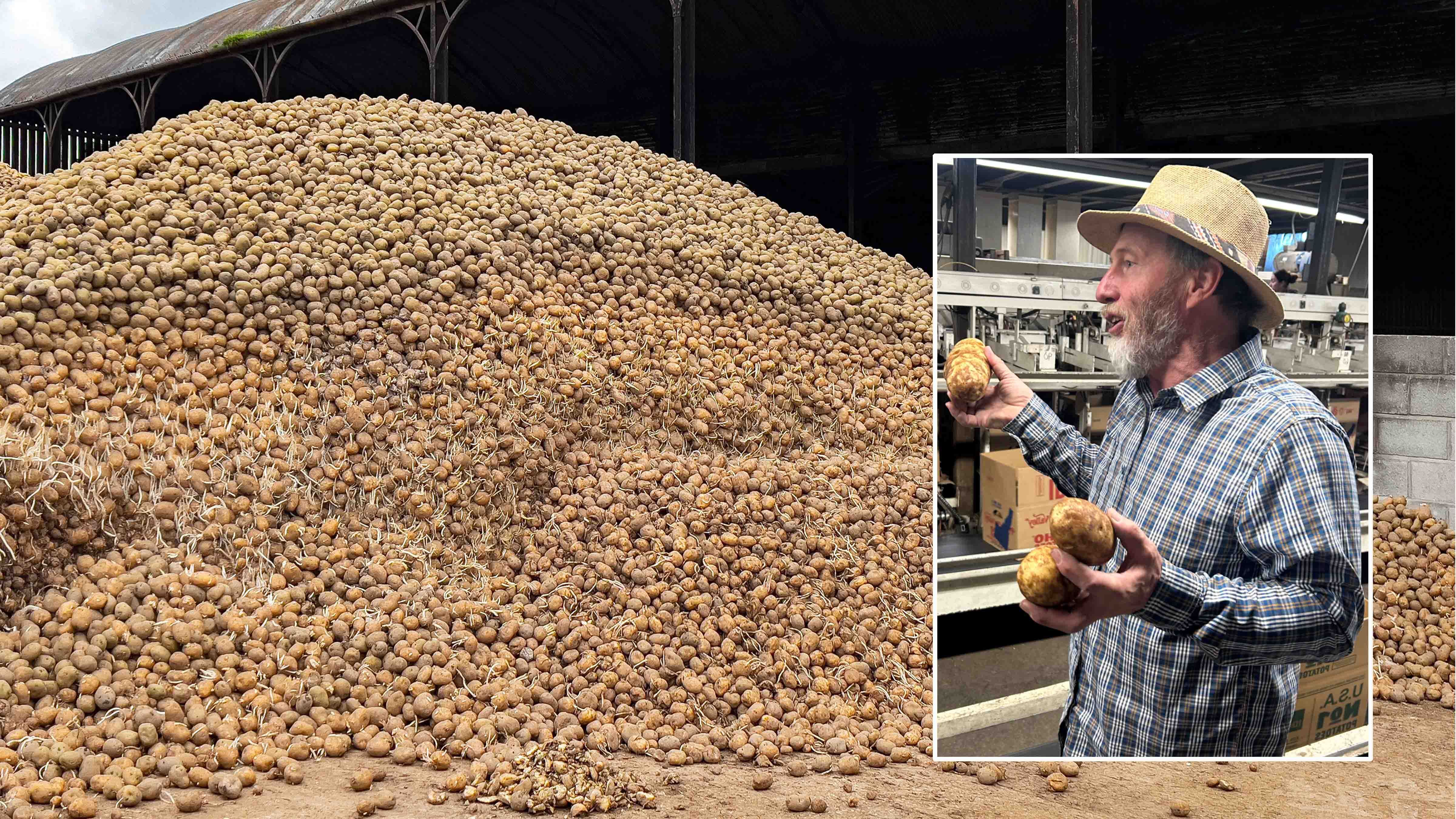 Idaho farmer Kent Sutton is giving away millions of pounds of potatoes to food banks and charities.