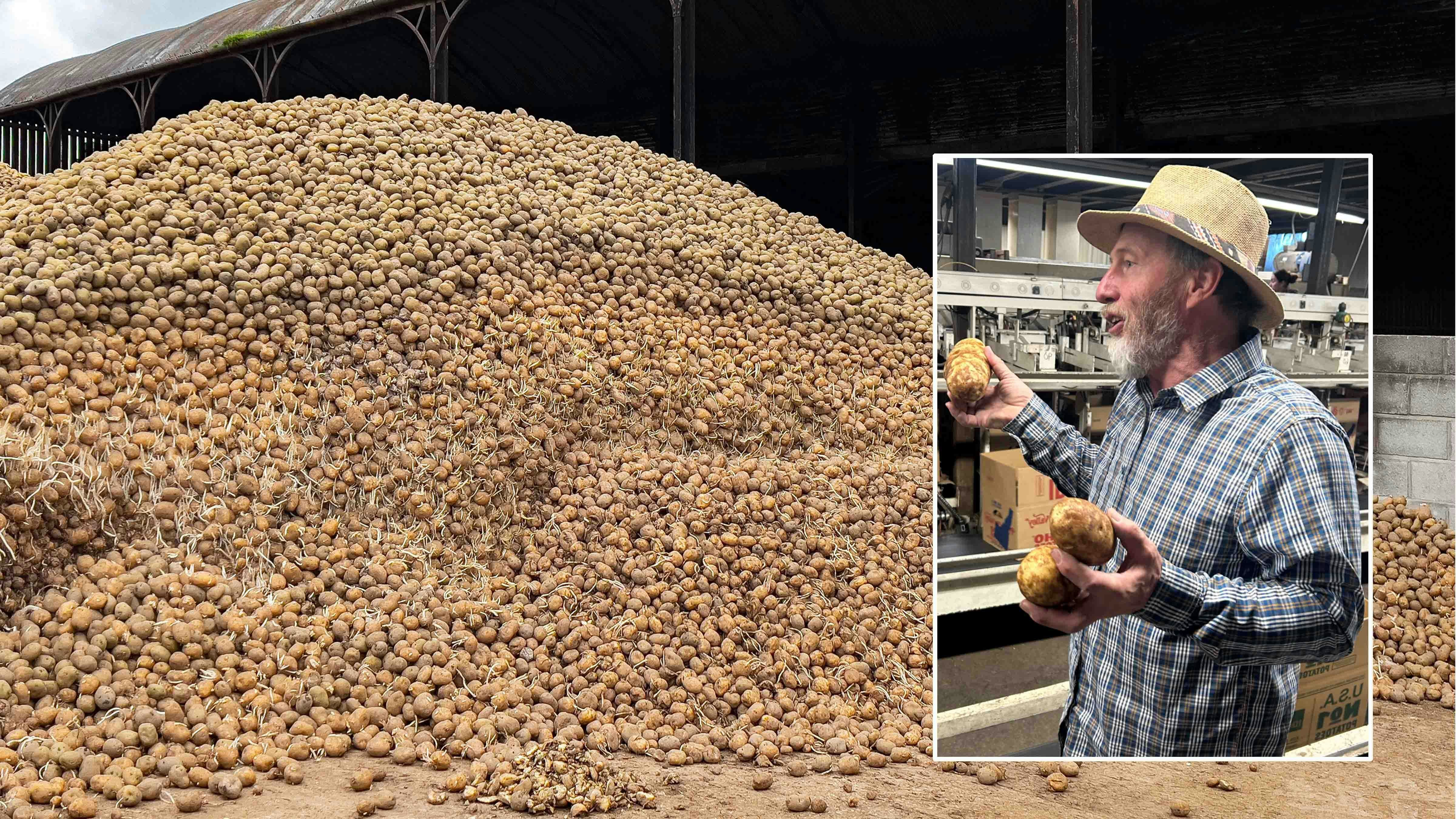 Idaho farmer Kent Sutton is giving away millions of pounds of potatoes to food banks and charities.