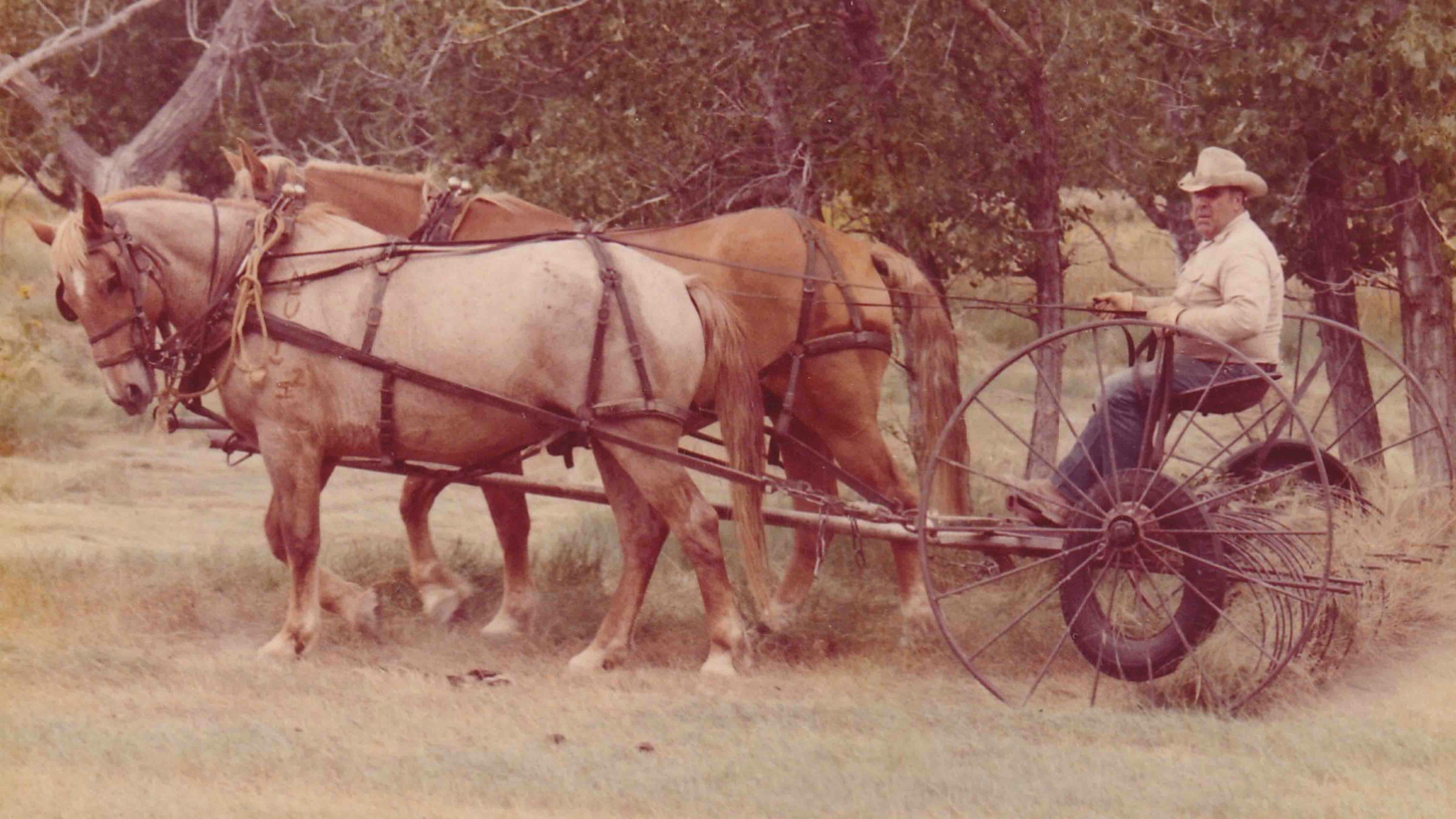 Because ranch work is a year-around occupation, A.D. Kruse was in the saddle throughout the year. He believed if it was too cold to do anything else, it was a good day to ride.