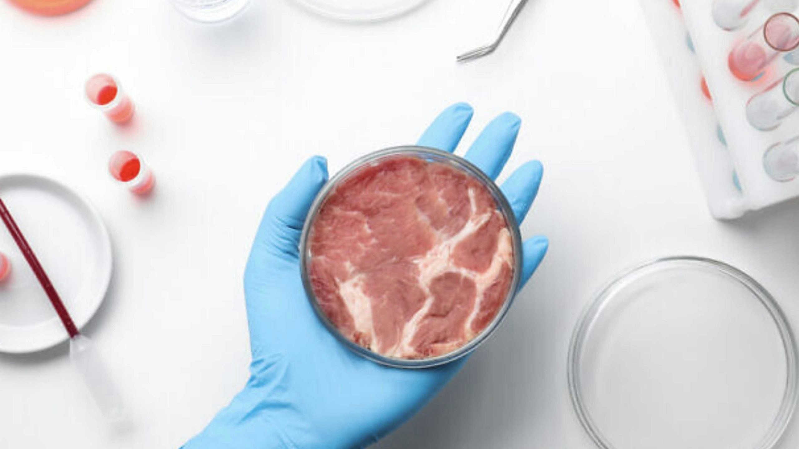 Lab grown meat 11 18 22 scaled