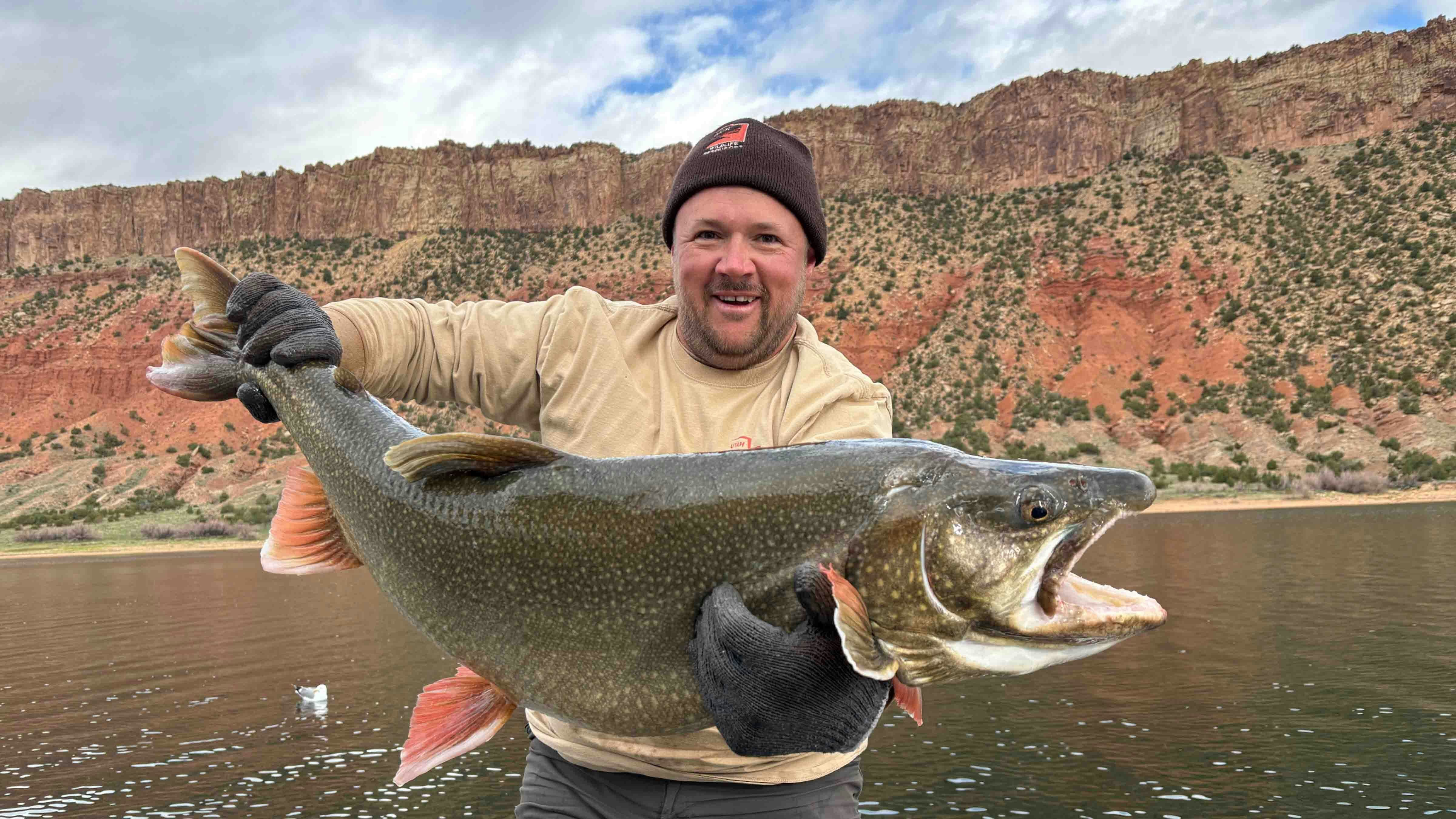 Bryan Englebert, an assistant aquatic manager with the Utah Division of Wildlife Resources, holds a giant lake trout from Flaming Gorge Reservoir. There is concern that lake trout are devouring too many of the reservoirs prized kokanee salmon.