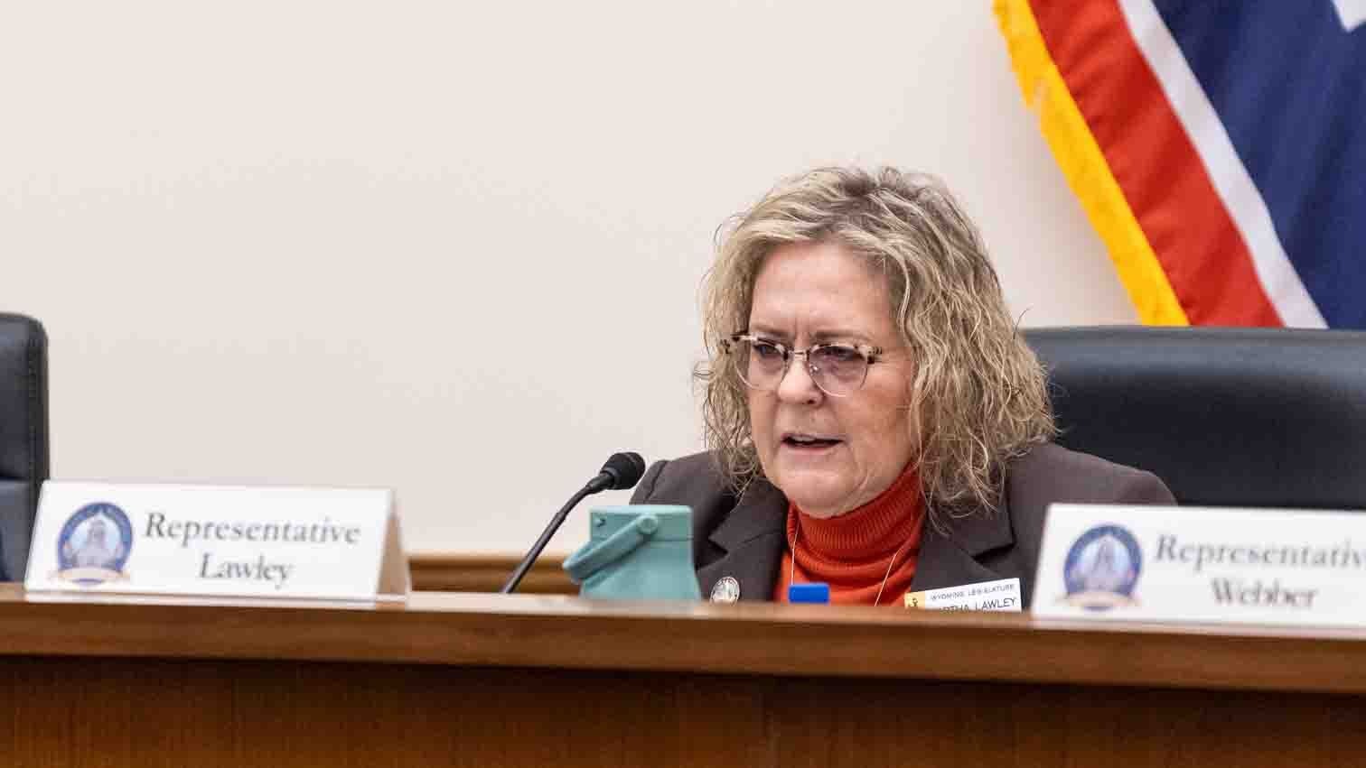 Rep. Martha Lawley, R-Worland, argued that some of the provisions added by the Senate Minerals Committee — including the ownership acknowledgment — were standard primacy language that Wyoming would need to secure federal cooperation.