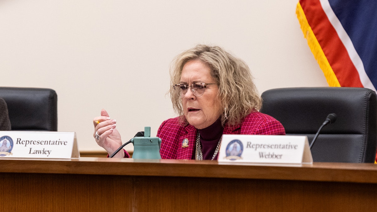 Representative Martha Lawley at House Minerals Committee Meeting - Bills - Wyoming energy transmission study and Wyoming Energy dominance fund on Friday, Feb. 27, 2026
