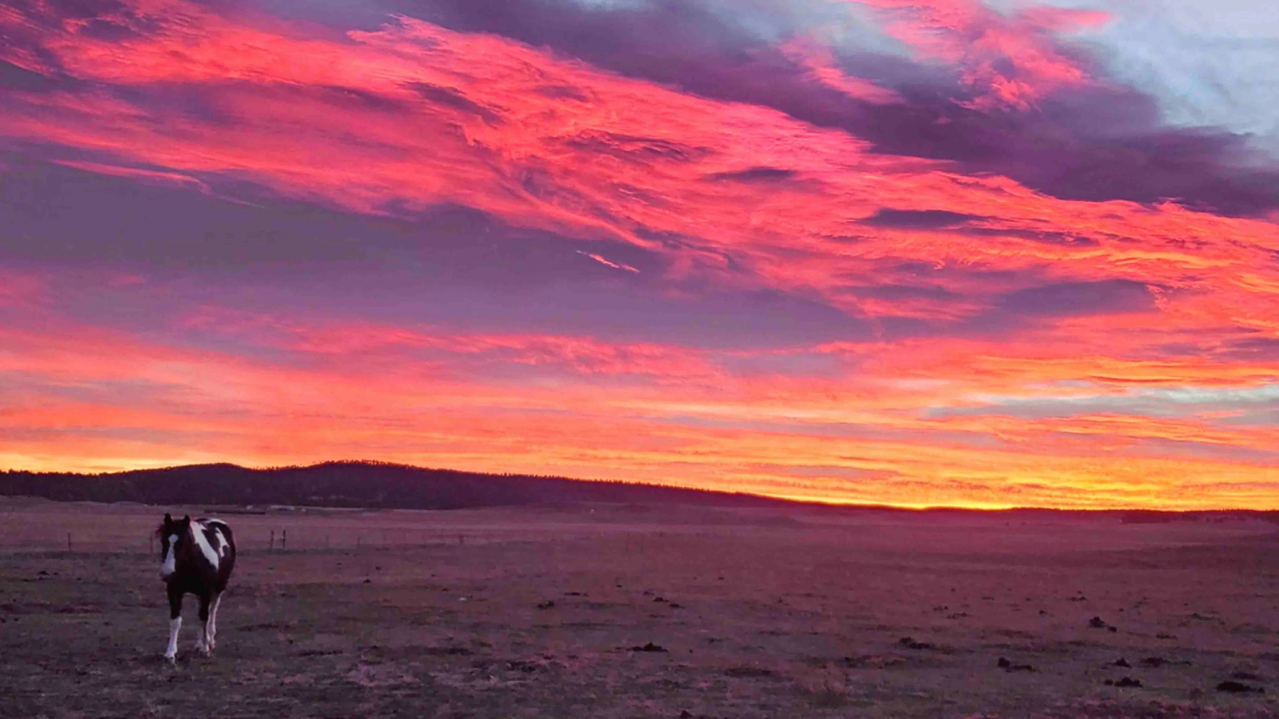 Lens 3 23 22 v2 scaled