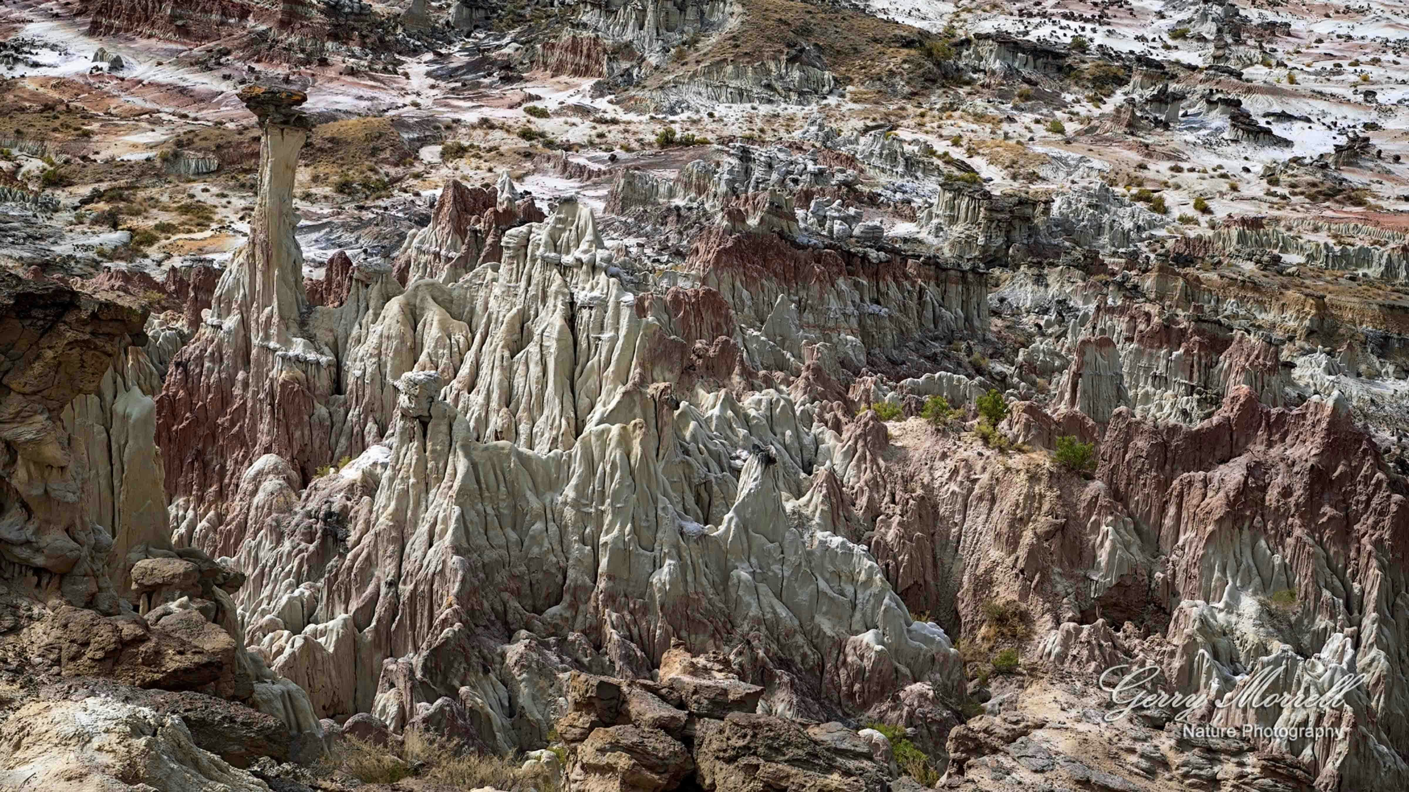 Wyoming Through The Lens