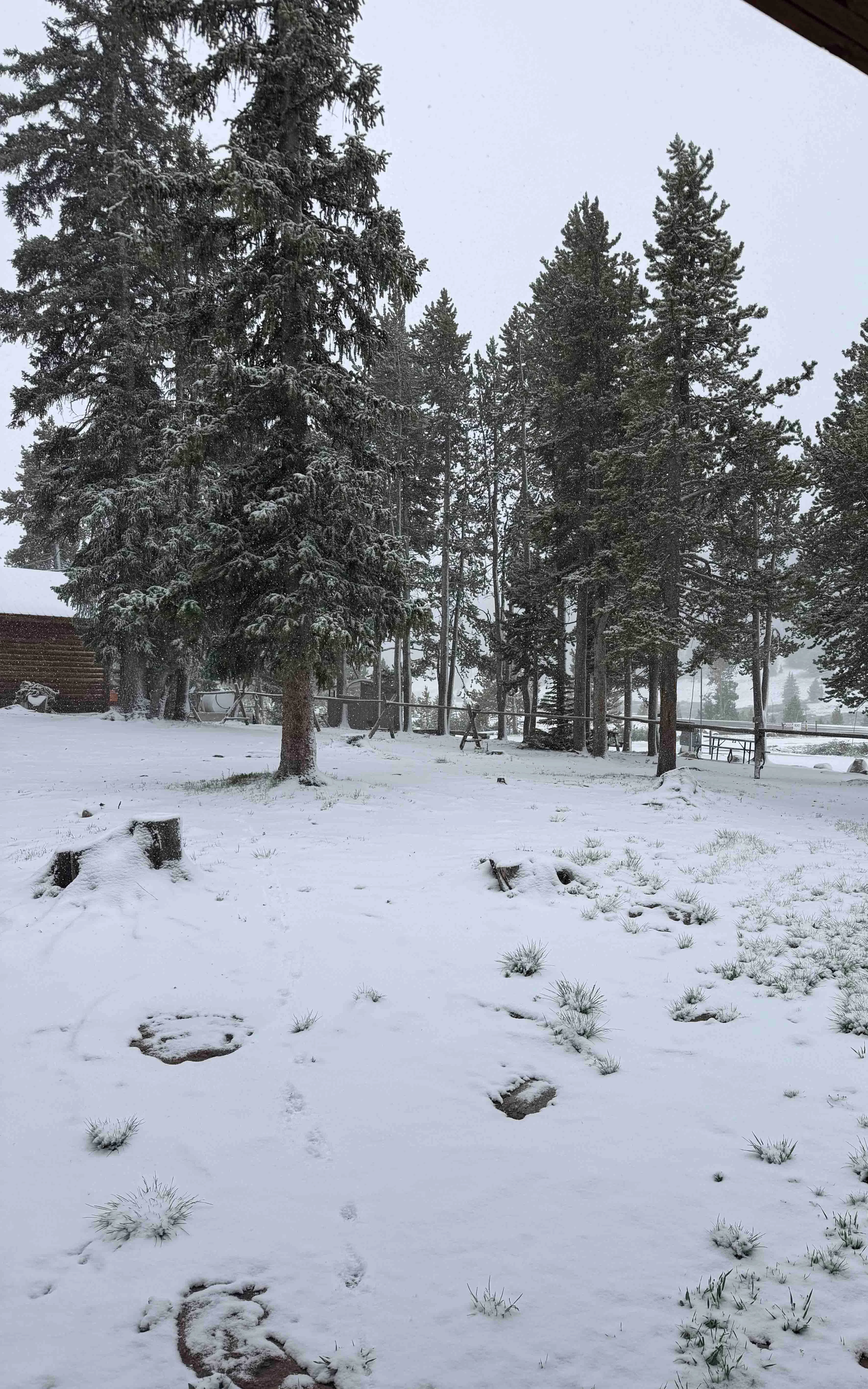 Snowing in Red Lodge, Montana, on Monday, June 29, 2026