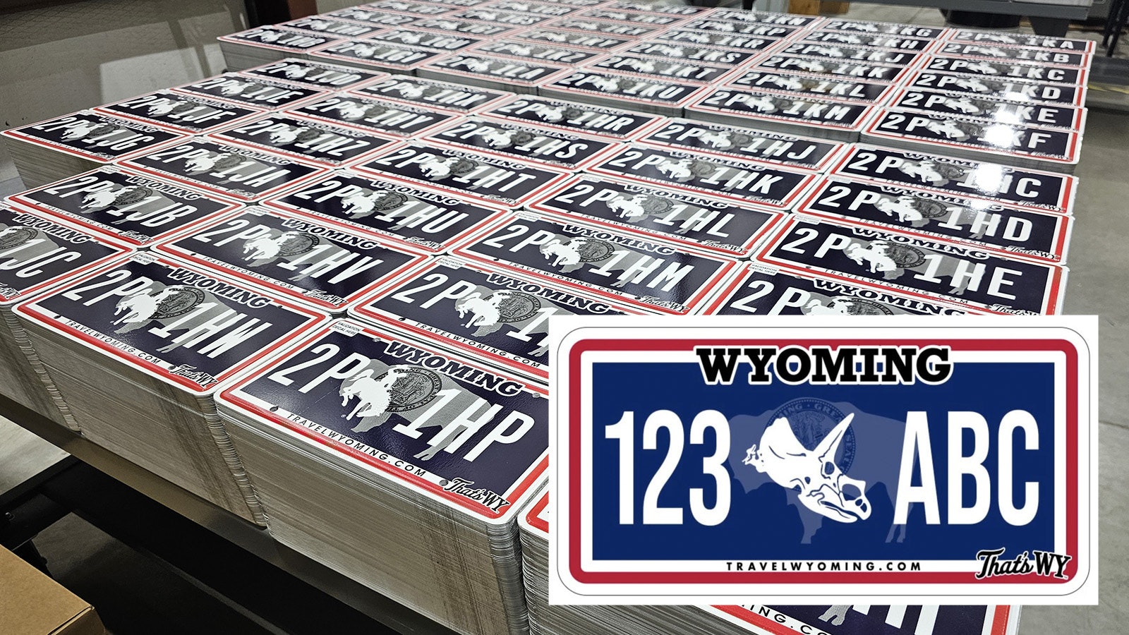 A new Wyoming license plate that will be available next year will feature a rodeo theme. The lawmaker who pushed for new license plates says it was in response to a PETA effort to strip the bucking horse logo from plates because it glorifies rodeo.