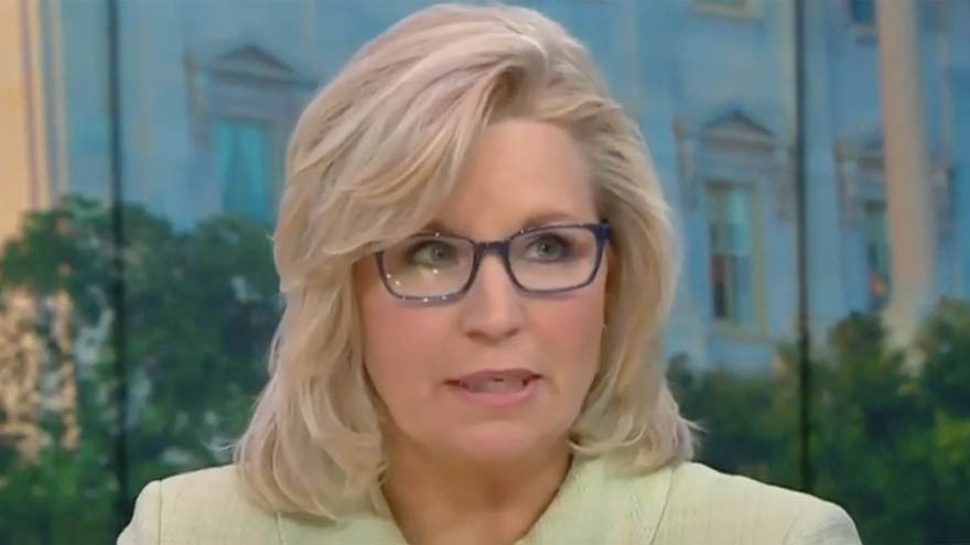 Liz cheney headshot 2 1