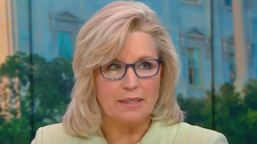 Liz cheney headshot 2 1
