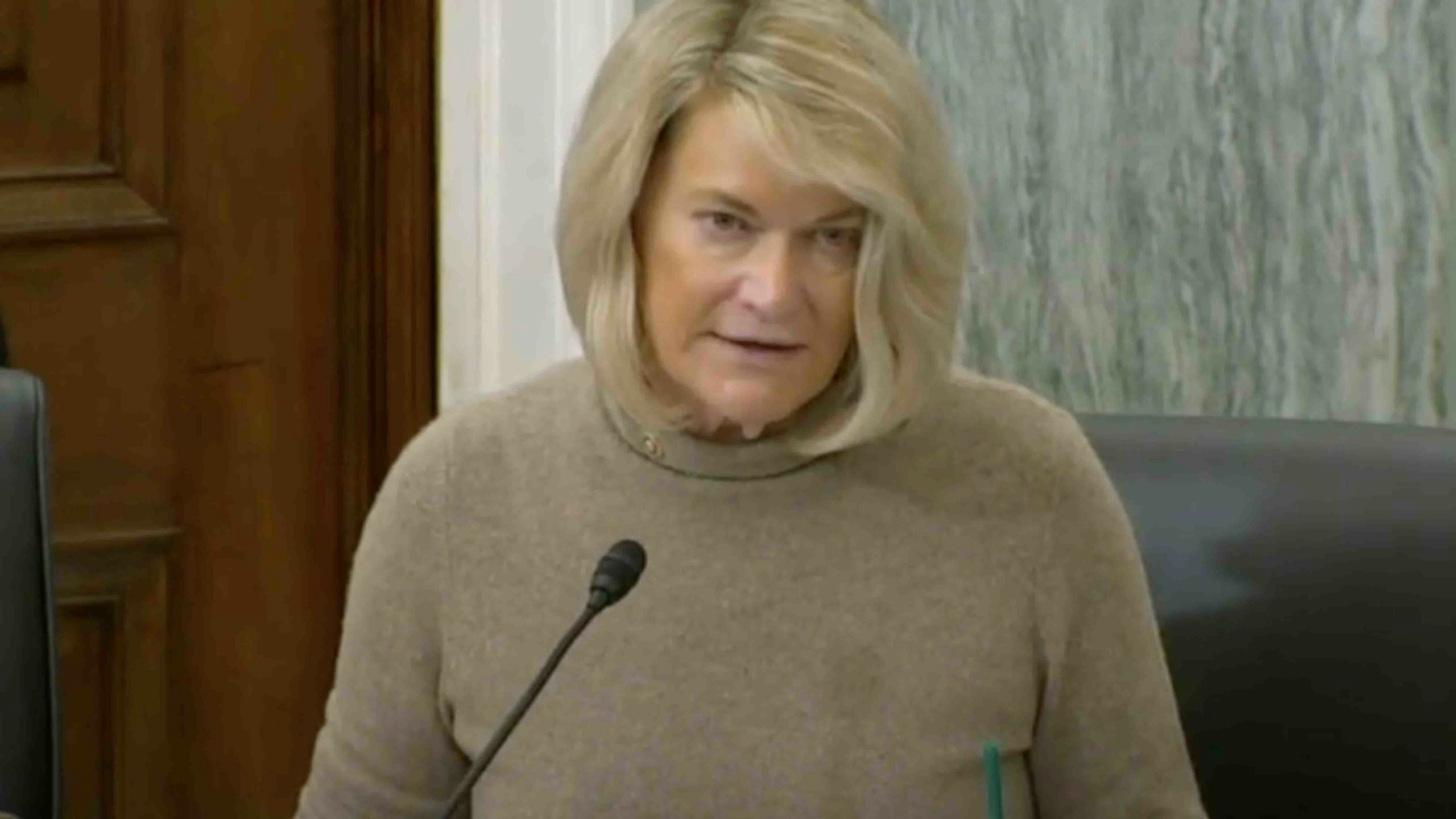 Lummis testimony scaled