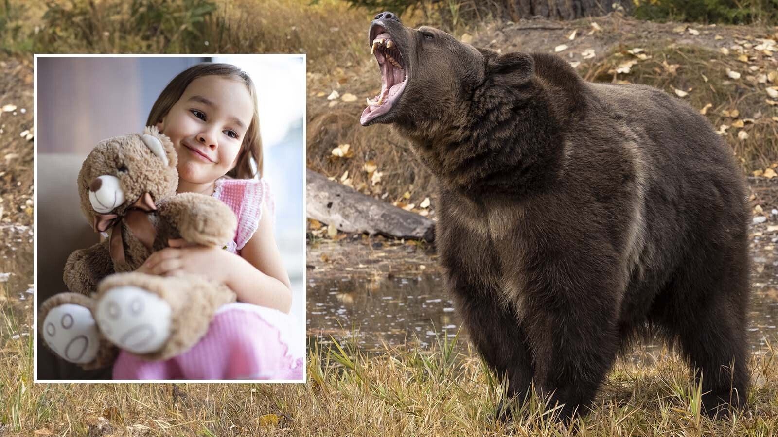A team of French researchers published a study claiming teddy bears are too cute and cuddly to give children a realistic view of the apex predators, or nature in general. Bear experts in Wyoming laughed at the study and said that seems ridiculous.