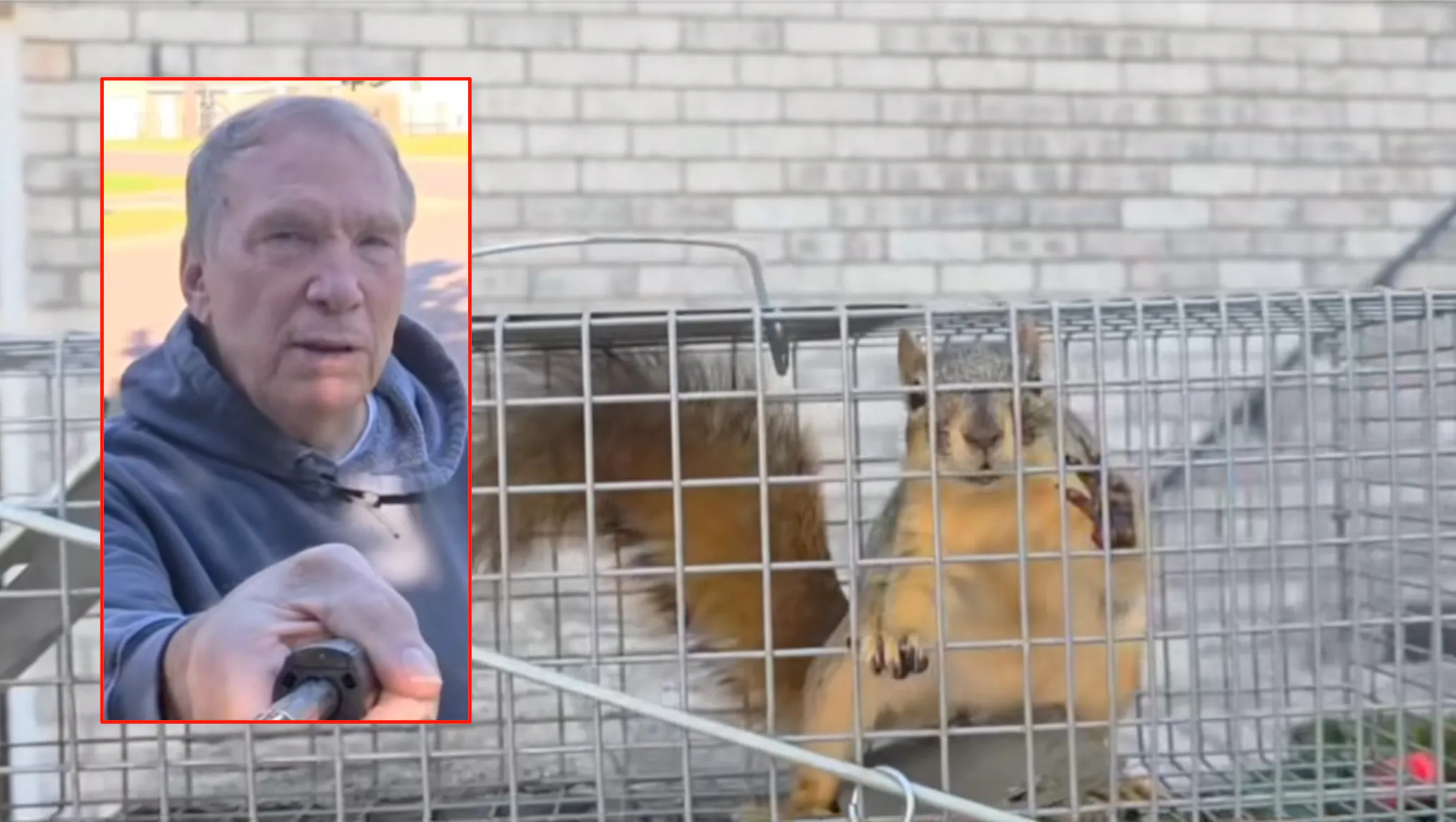 A South Dakota man who filmed himself drowning a caged squirrel for several minutes, claimed it was just a "bath" and punishment for eating his apples. Subsequent outrage has led to a criminal investigation. The man wouldn't say if the squirrel was killed.