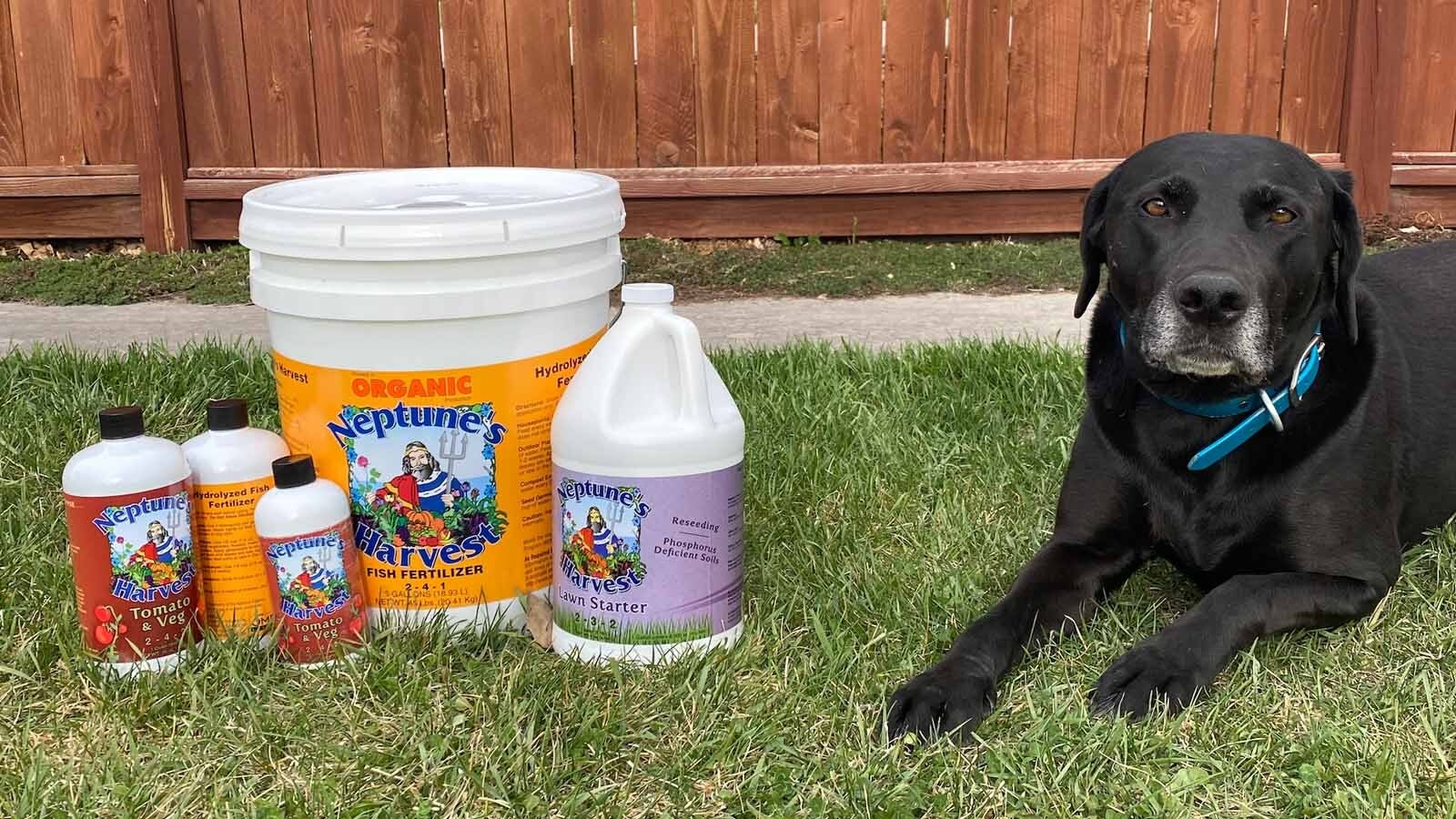 Organic fertilizers and the Dirt Works mascot, Pepper