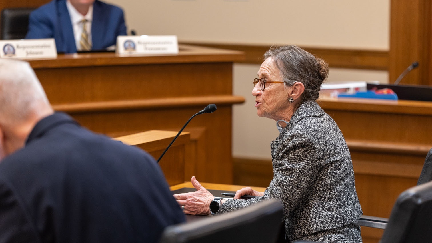 Marguerite Herman, testifying for the League of Women Voters, said HB 86 "just injects a layer of — potentially — politics" and that it "doesn't illuminate anything. It just kind of adds to the process and doesn't really help it along. The current process is working."