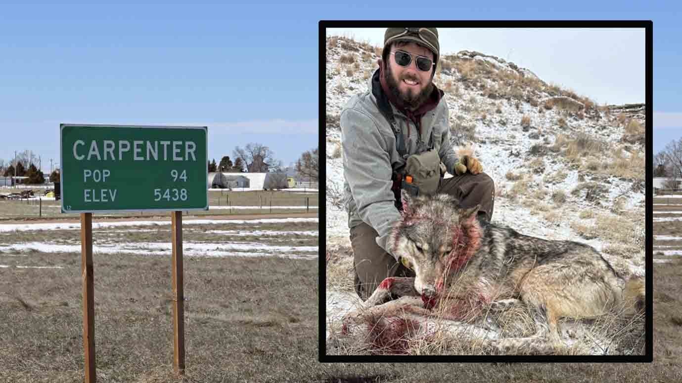 A Laramie County rancher shot a roughly 2-year-old male wolf near Carpenter, Wyoming. Wildlife officials say it may be the first recorded legal wolf killing in the county, and its origin remains unclear.