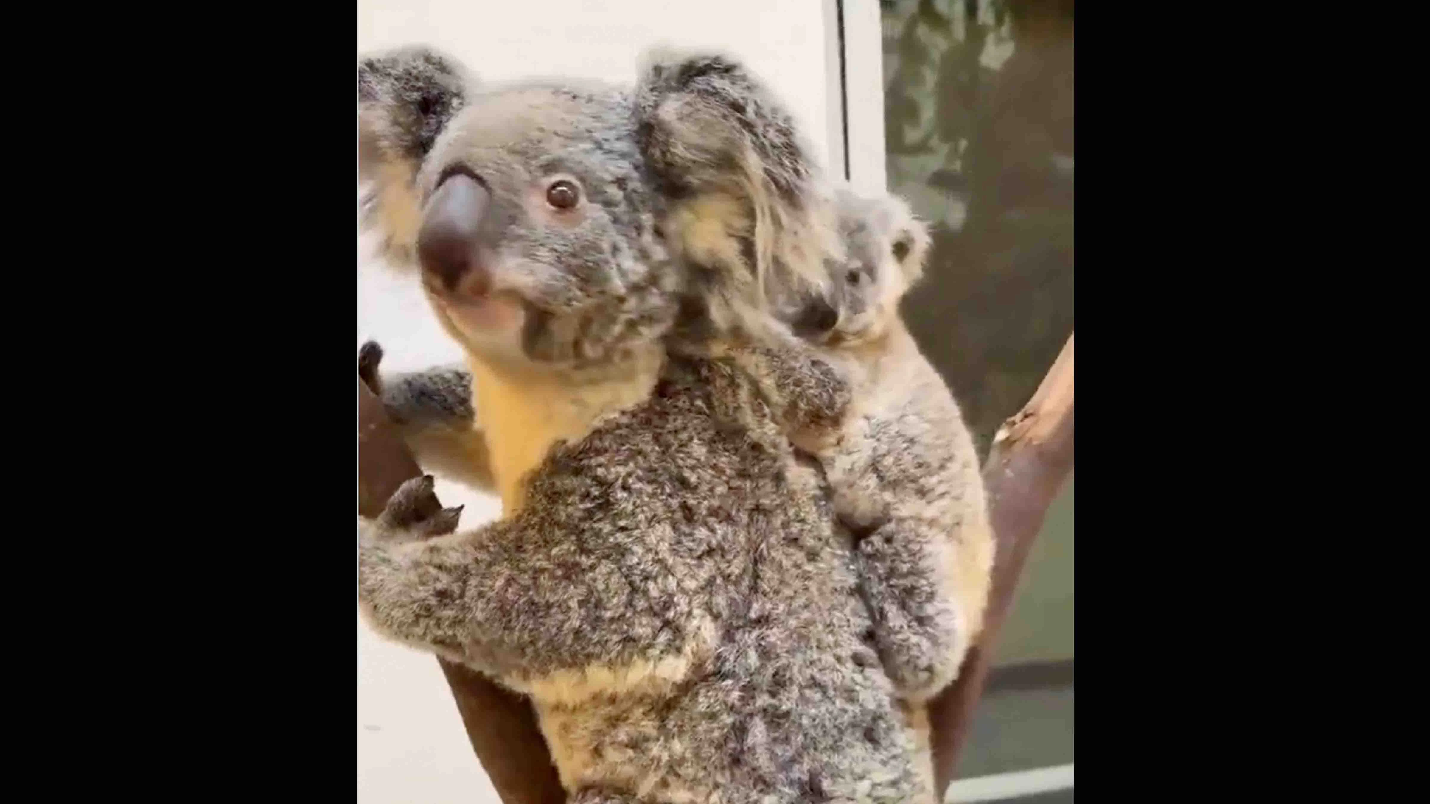 Measurements 4 15 26