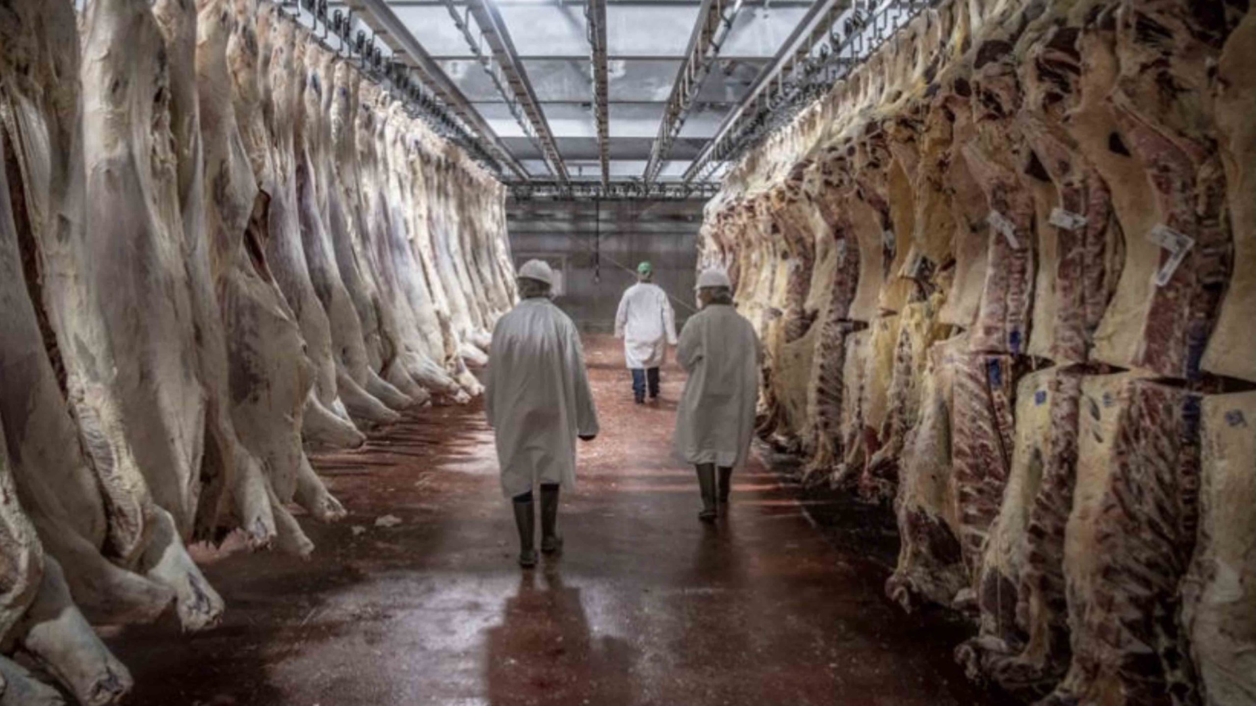 Wyoming Legislators Thrilled At Planned Meat… Cowboy State Daily