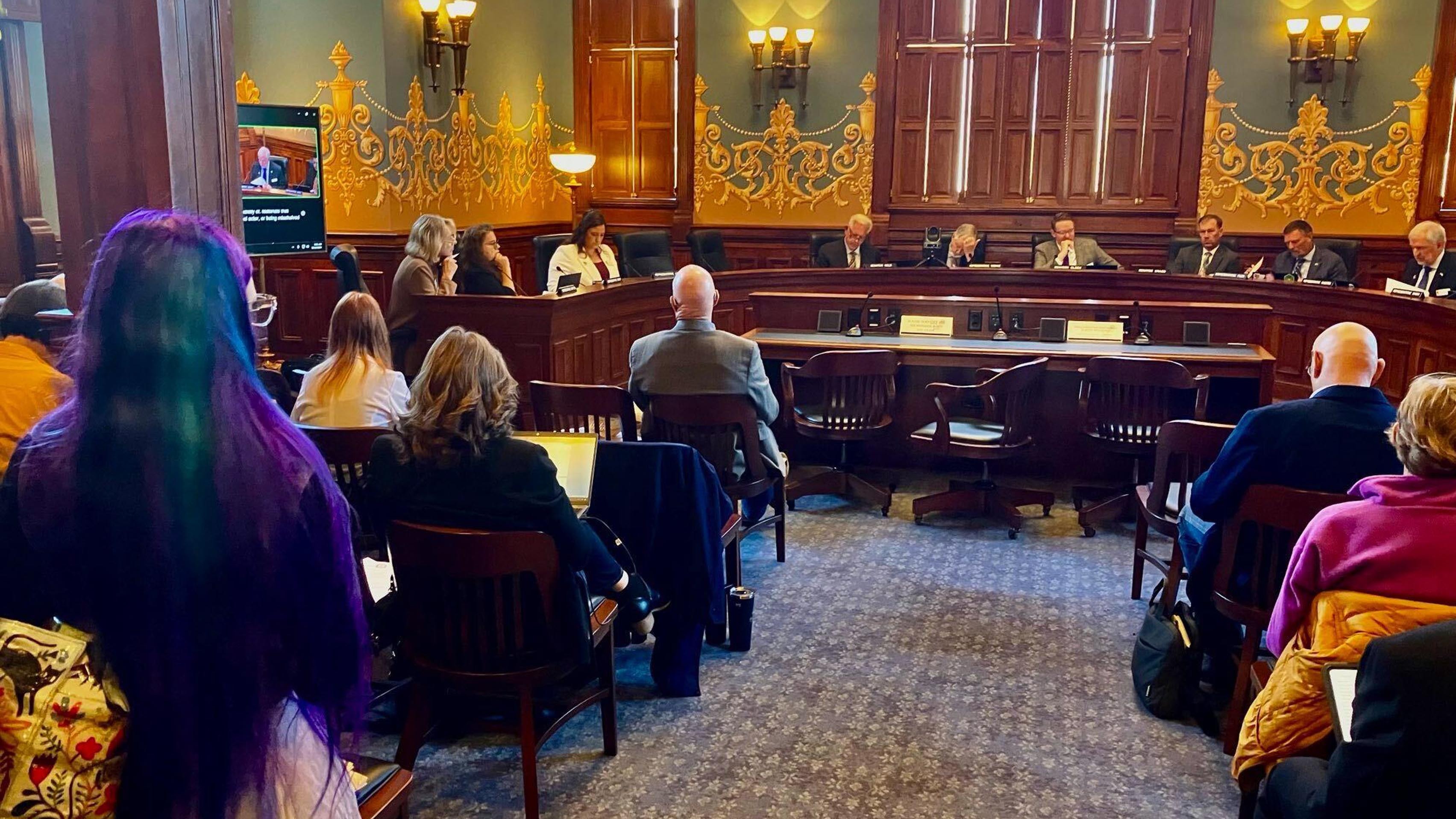 The Wyoming Judiciary Committee on Monday adopted a bill letting residents of a given county or school district sue libraries or schools over sexually-explicit materials in children's sections of libraries.  