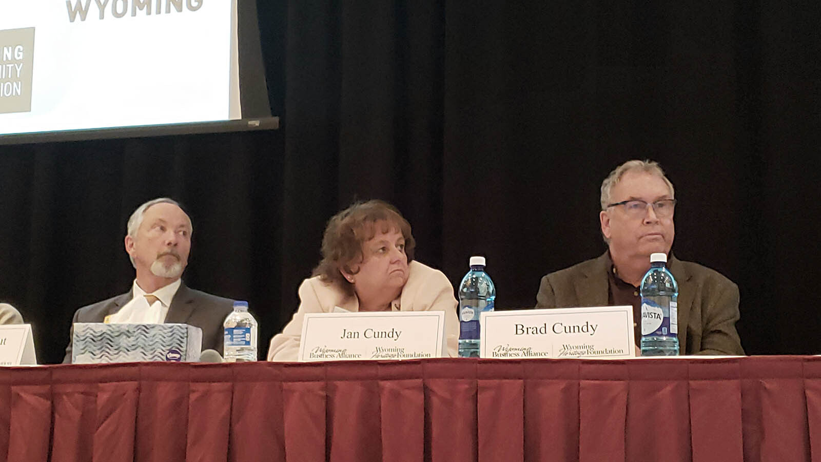 Mental health panel 1