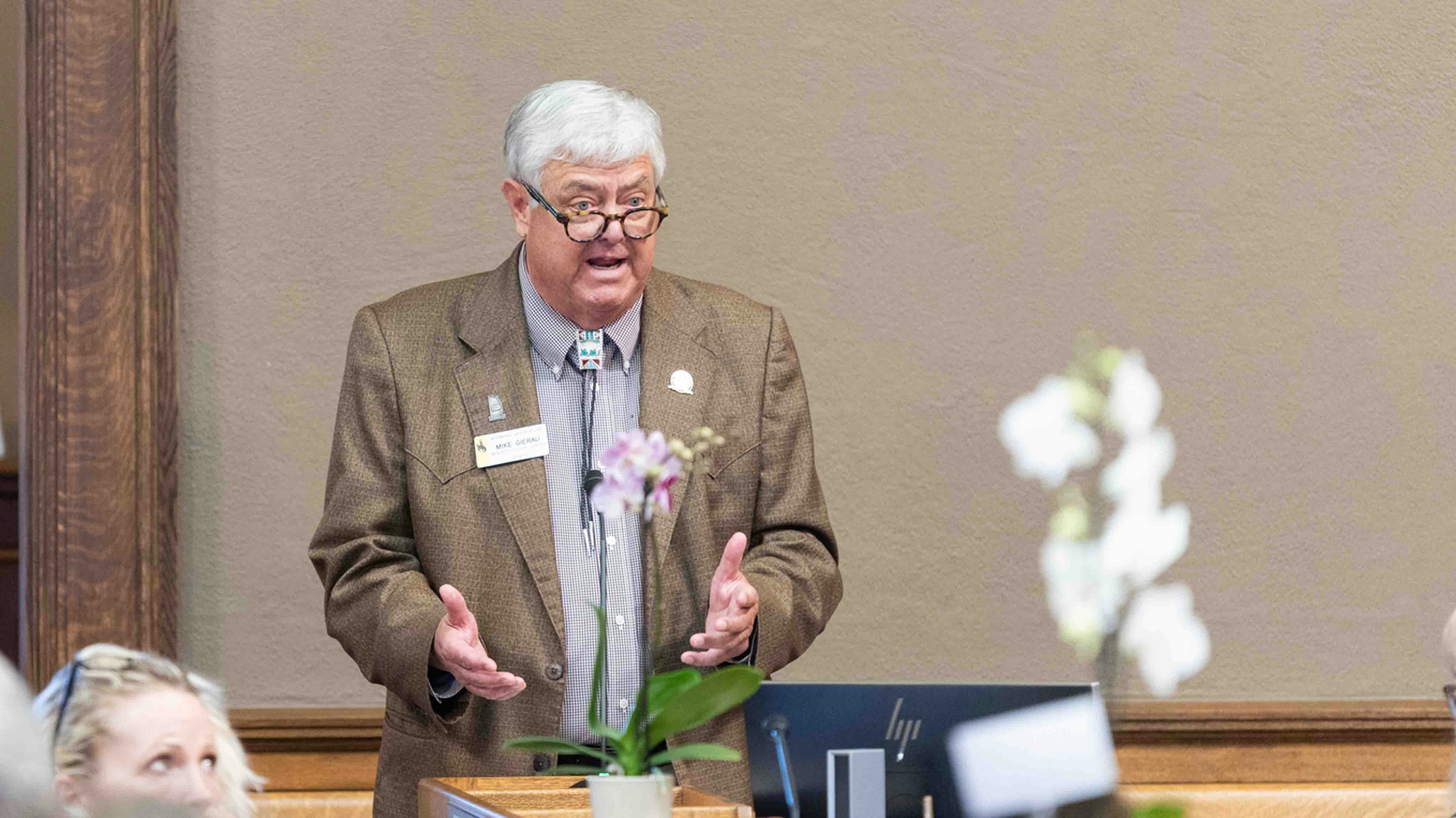 Sen. Mike Gierau, D-Jackson, a JAC member who participated in the committee’s four-week budget-planning marathon this winter, told the Senate that the “tenor” of the committee’s discussion was a culture clash between the university and the Legislature.