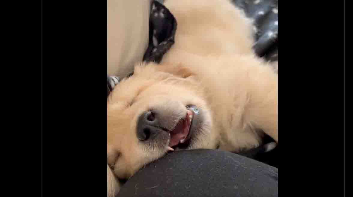 Monday smile 10 24 22