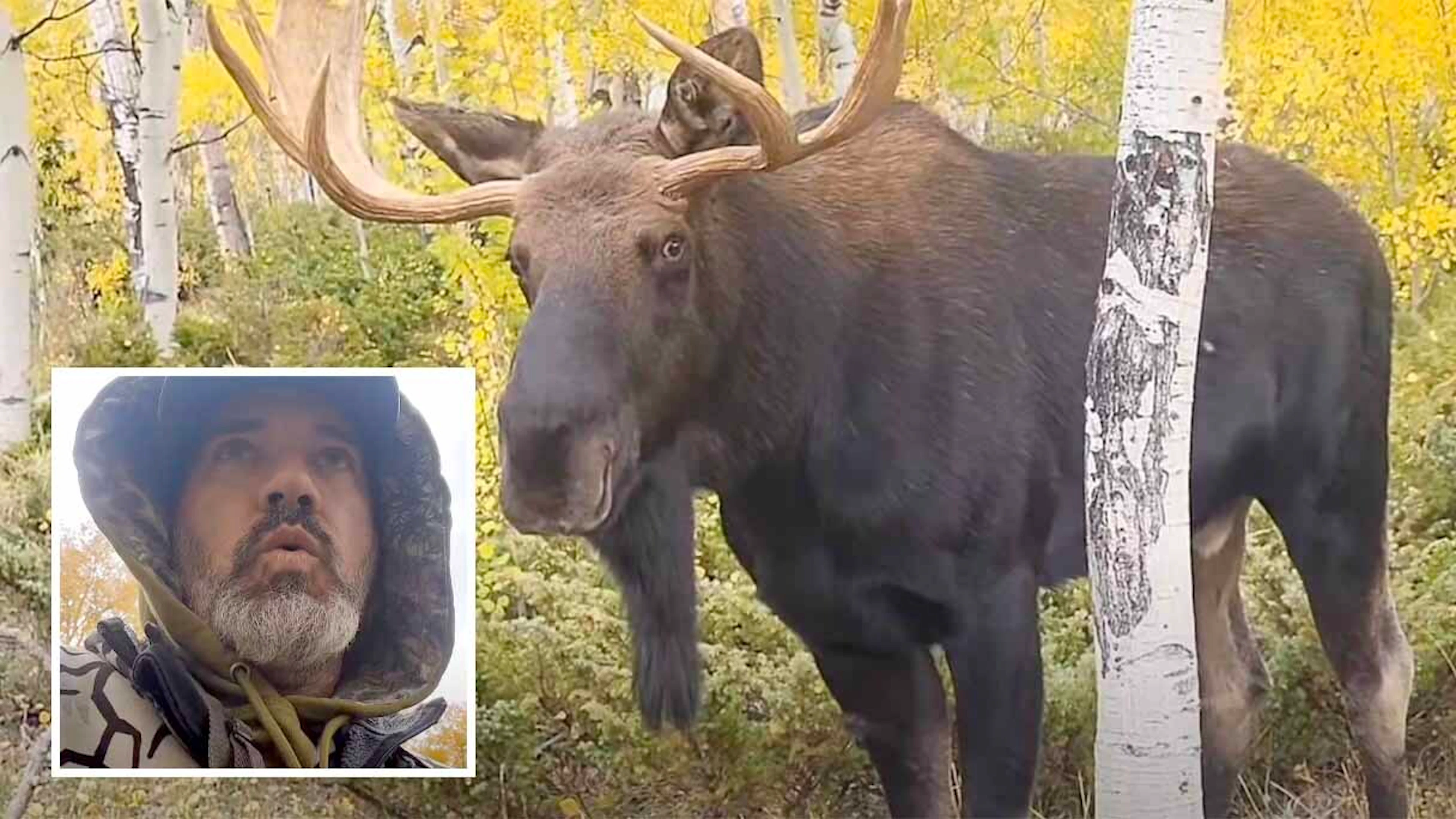 Why Rabbits Are Growing Horns And Tentacles In Colorado | Cowboy State ...