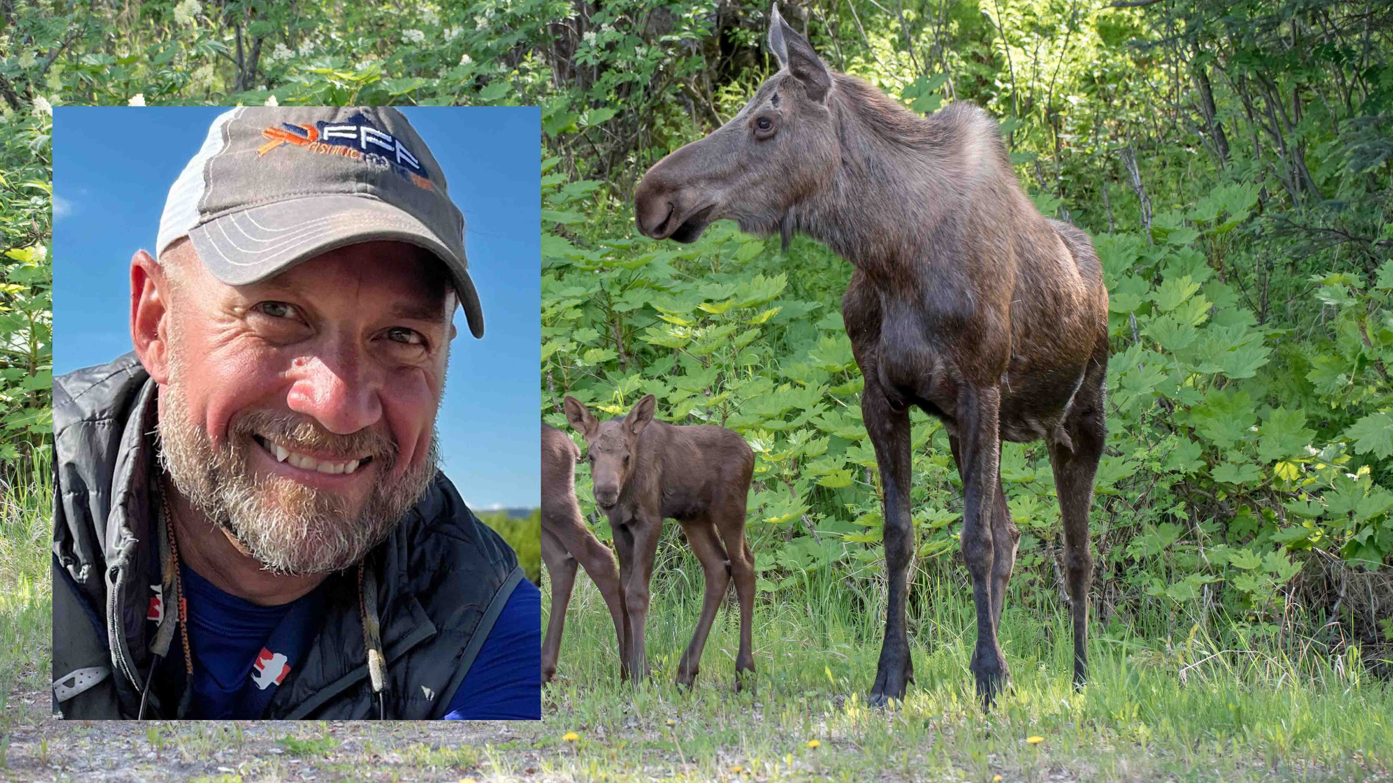 Wyoming Sportsmanship, a group formed after the torture of a wolf in Daniel, Wyoming, is calling for justice for a cow moose allegedly roped, dragged and abused by three men in Uinta County. “This is egregious, pathetic, and disgusting," spokesman Paul Ulrich said.