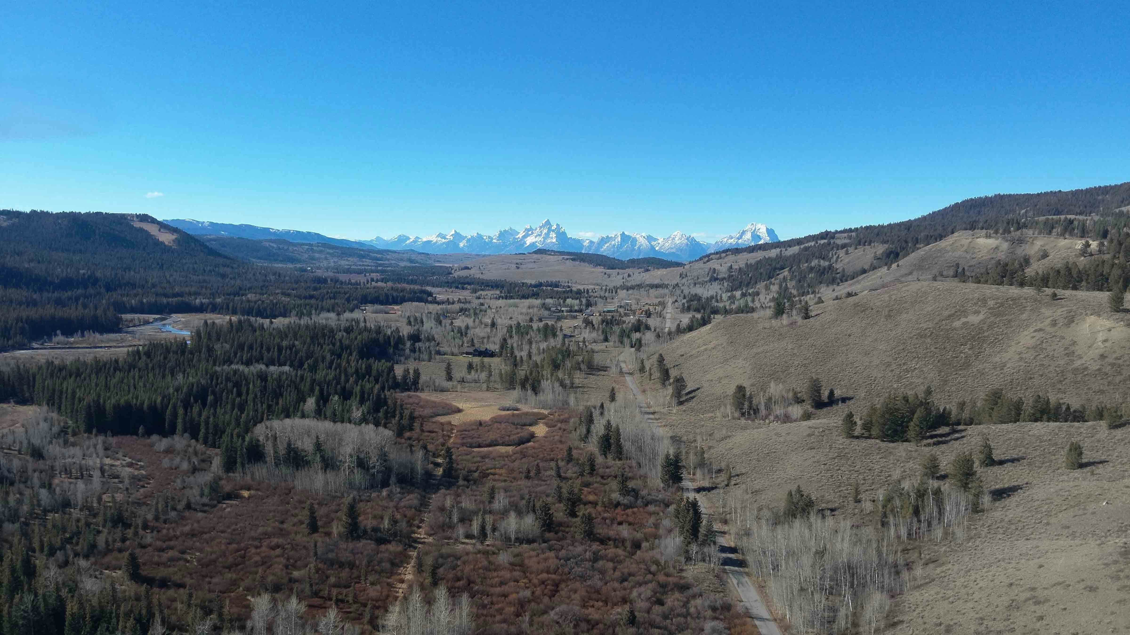 The two pack horses that wandered off in late October north of Moran are still missing. An owner of one of the horses has conducted aerial searches, both in a small plane and with a thermal drone.