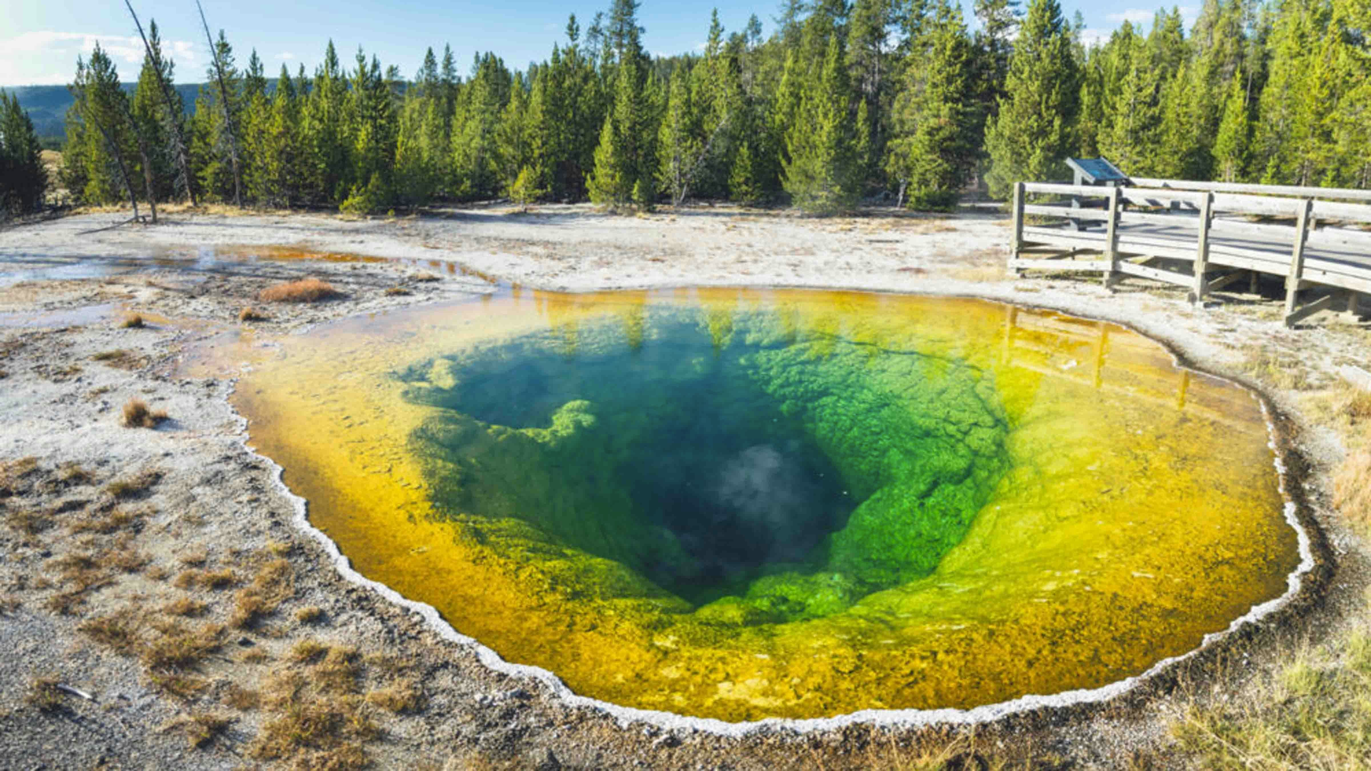 Morning glory yellowstone 9 21 24