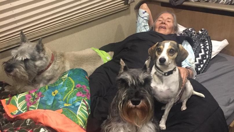 Mother in law cowboy state daily