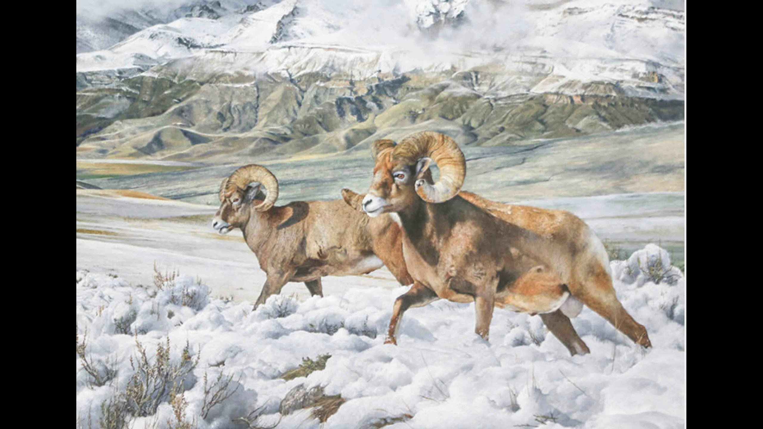 Mountain goat painting scaled