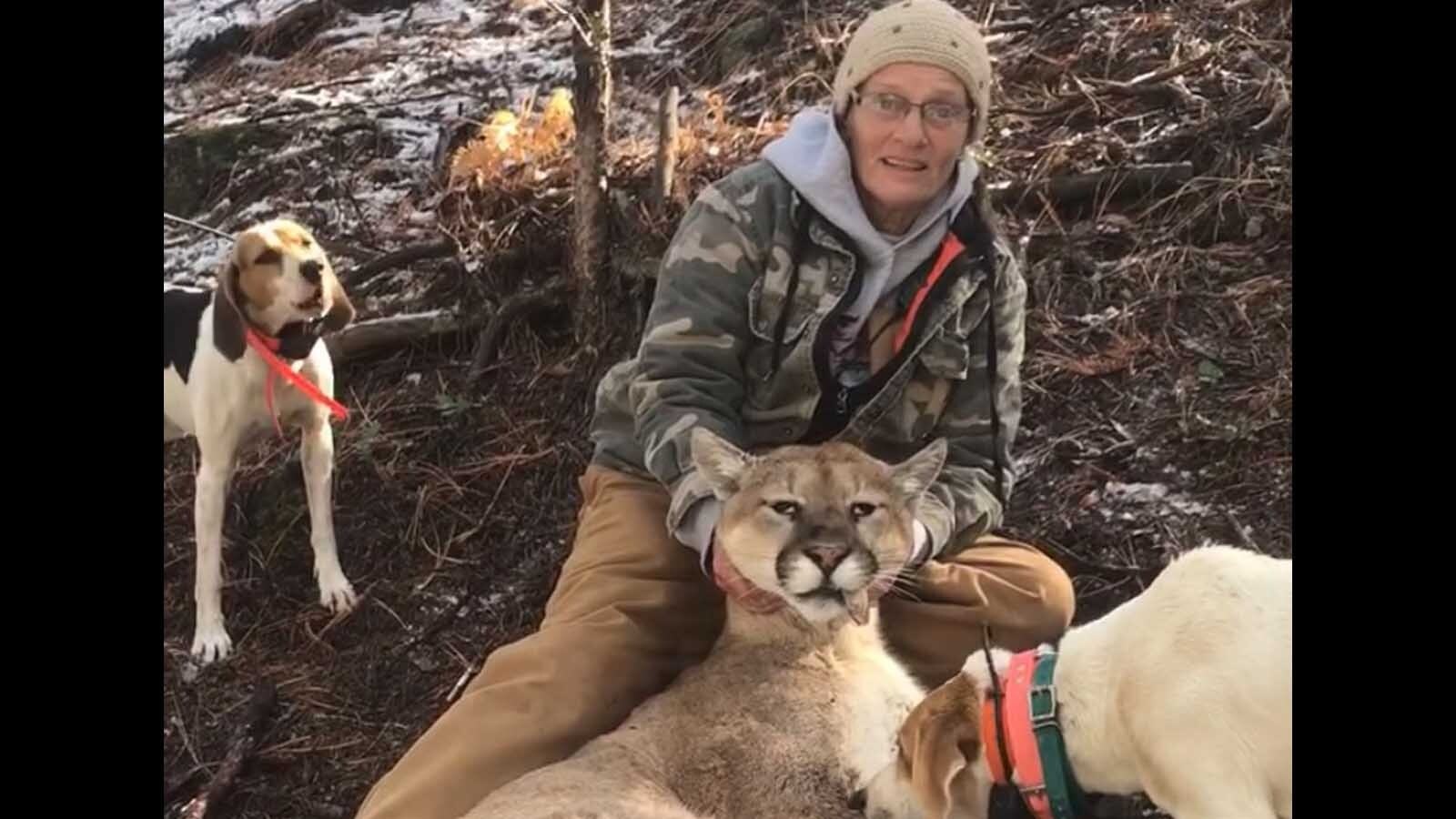 Debbie Neves is one of many mountain lion hunters who succeeded with the help of hounds. Pursuing mountain lions with hounds remains the most effective way to hunt them.