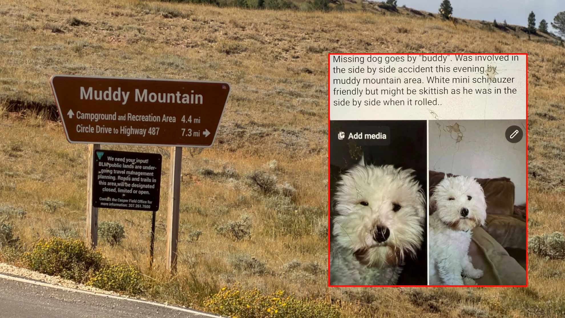 A side-by-side rolled Sunday afternoon in remote Casper Mountain country, triggering a major emergency response as radio traffic carried a grim report from the scene: “She is not breathing. No pulse.” A dog also was reported missing from the crash.