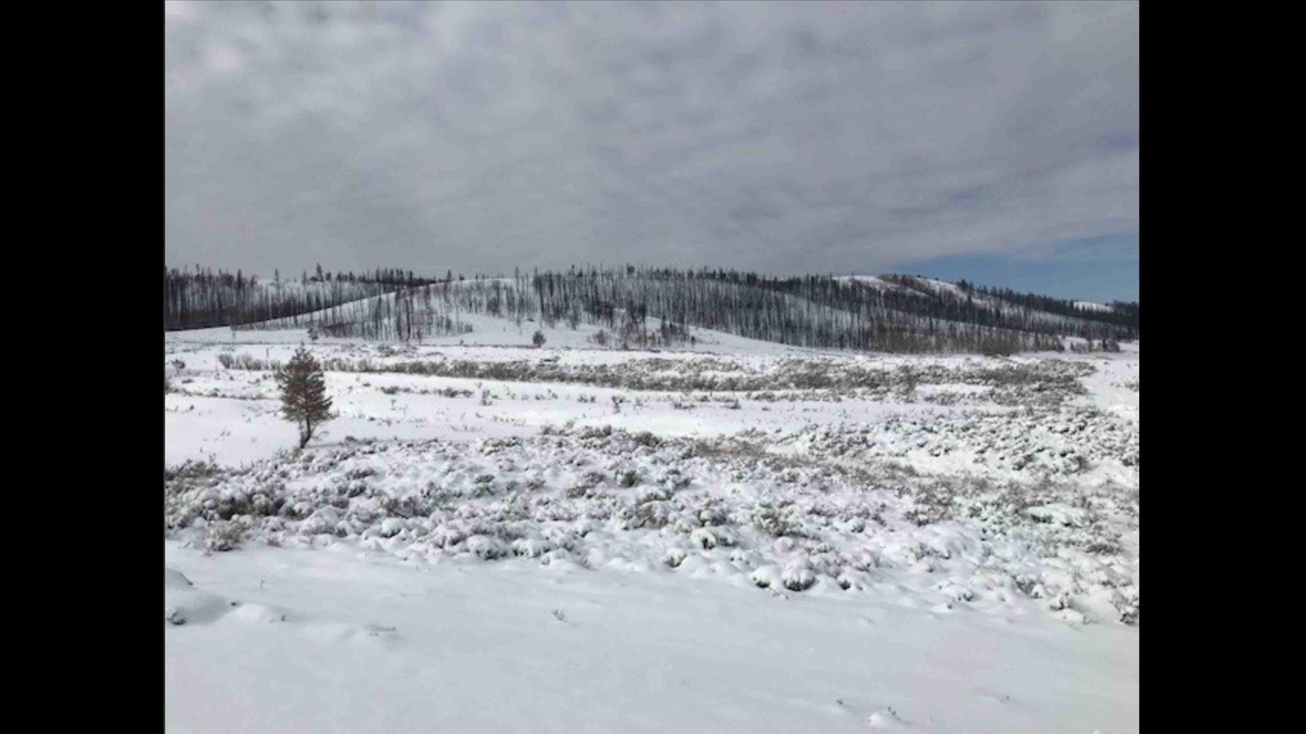 Mullen snow 10 26 20 scaled