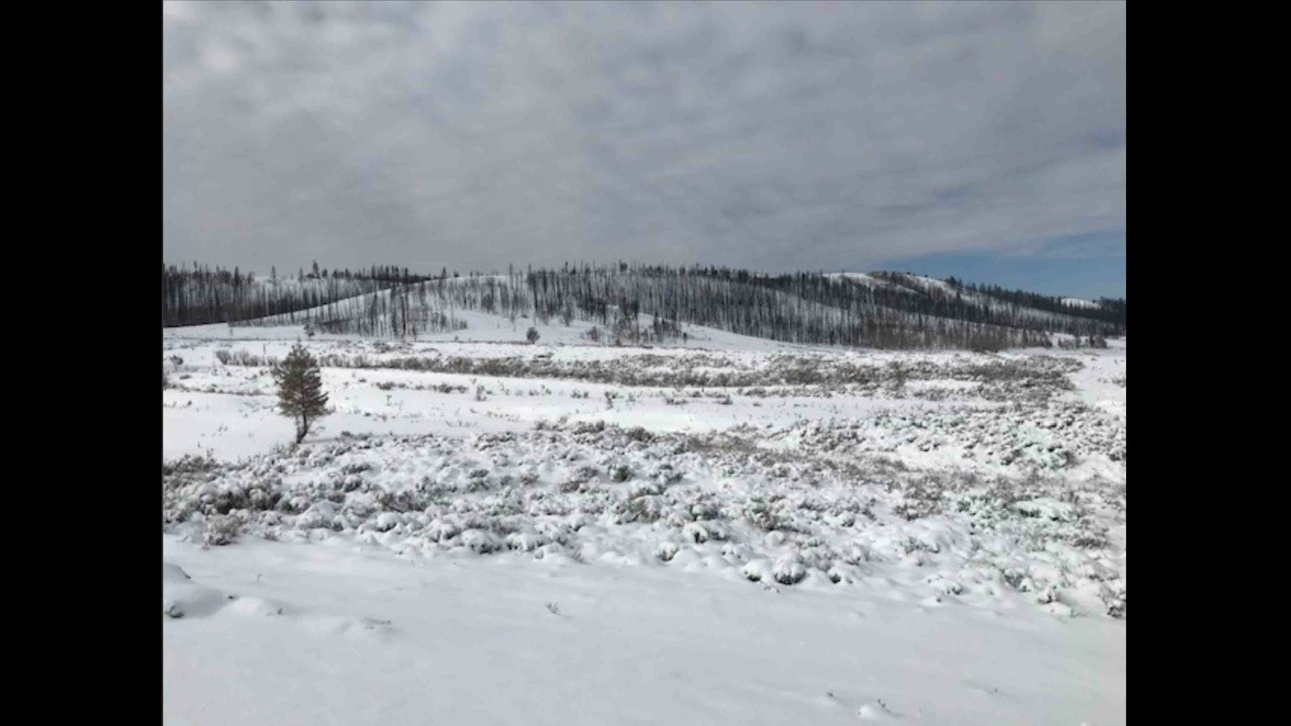 Mullen snow 10 26 20 scaled