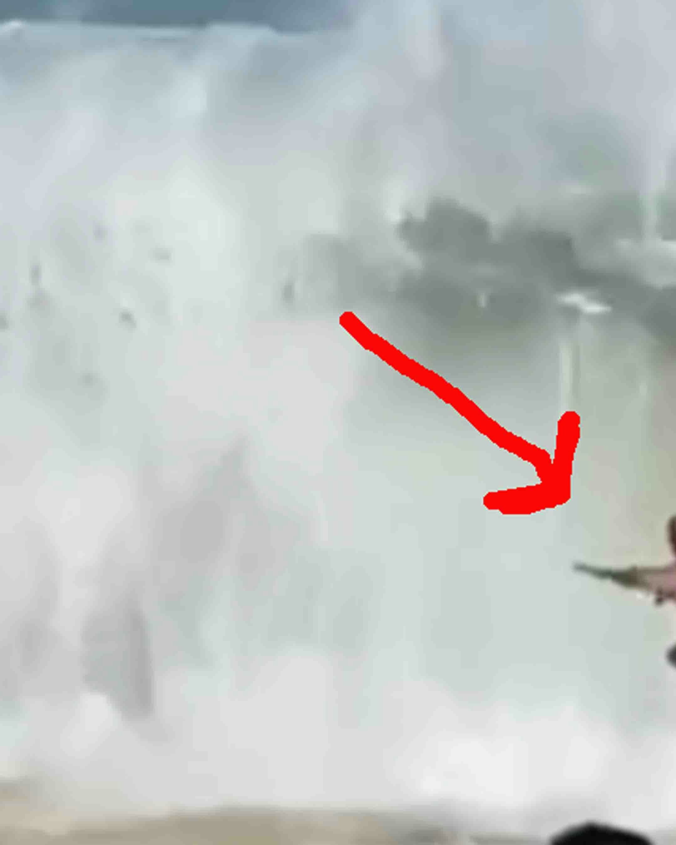 Nature no play 11 29 25