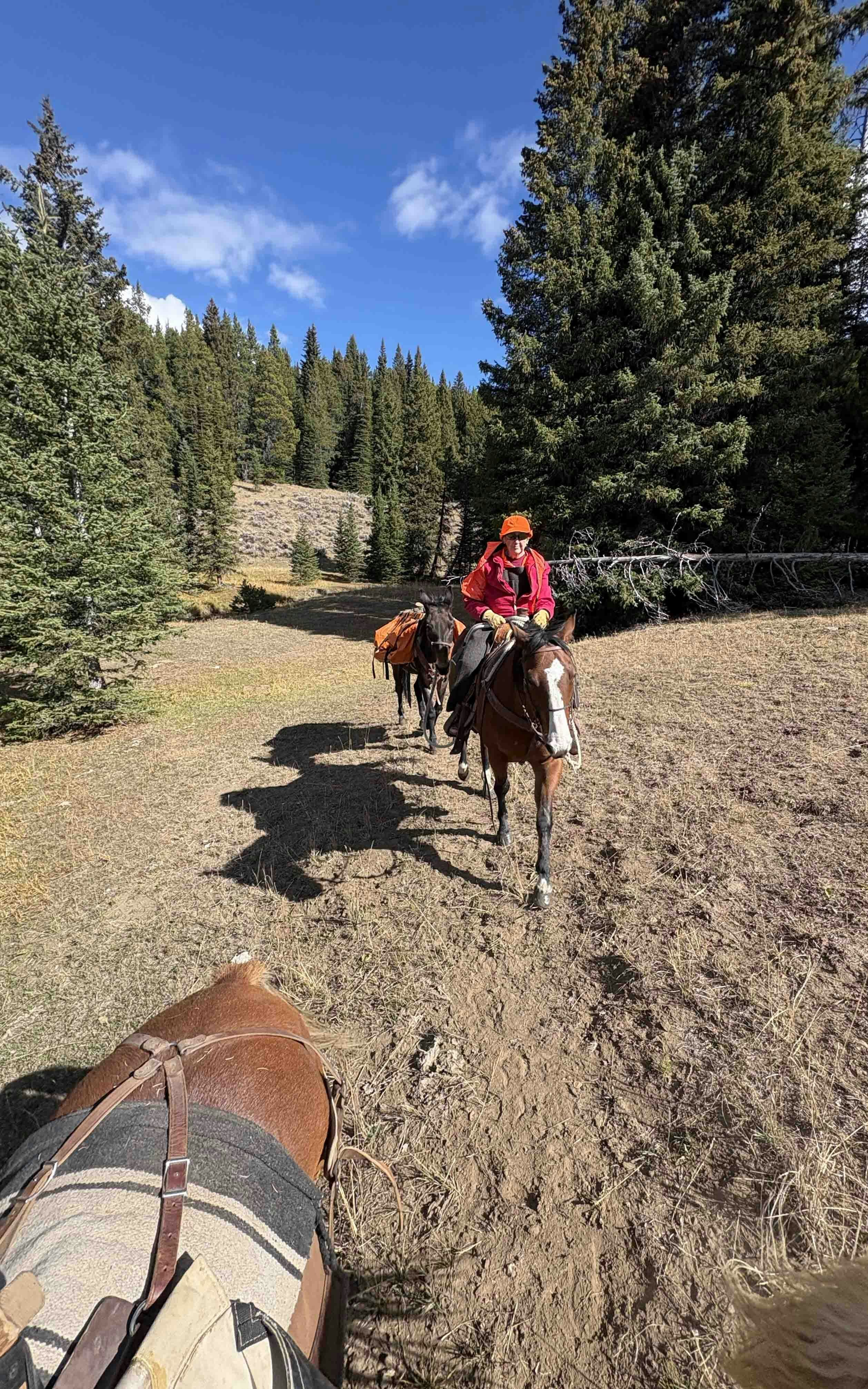 Take that, Father Time! At 83-years-old Neda Herman, from Basin, Wyoming, shot her elk on opening day at 6:15 a.m. By noon, she quartered the elk with her son and packed it out.
