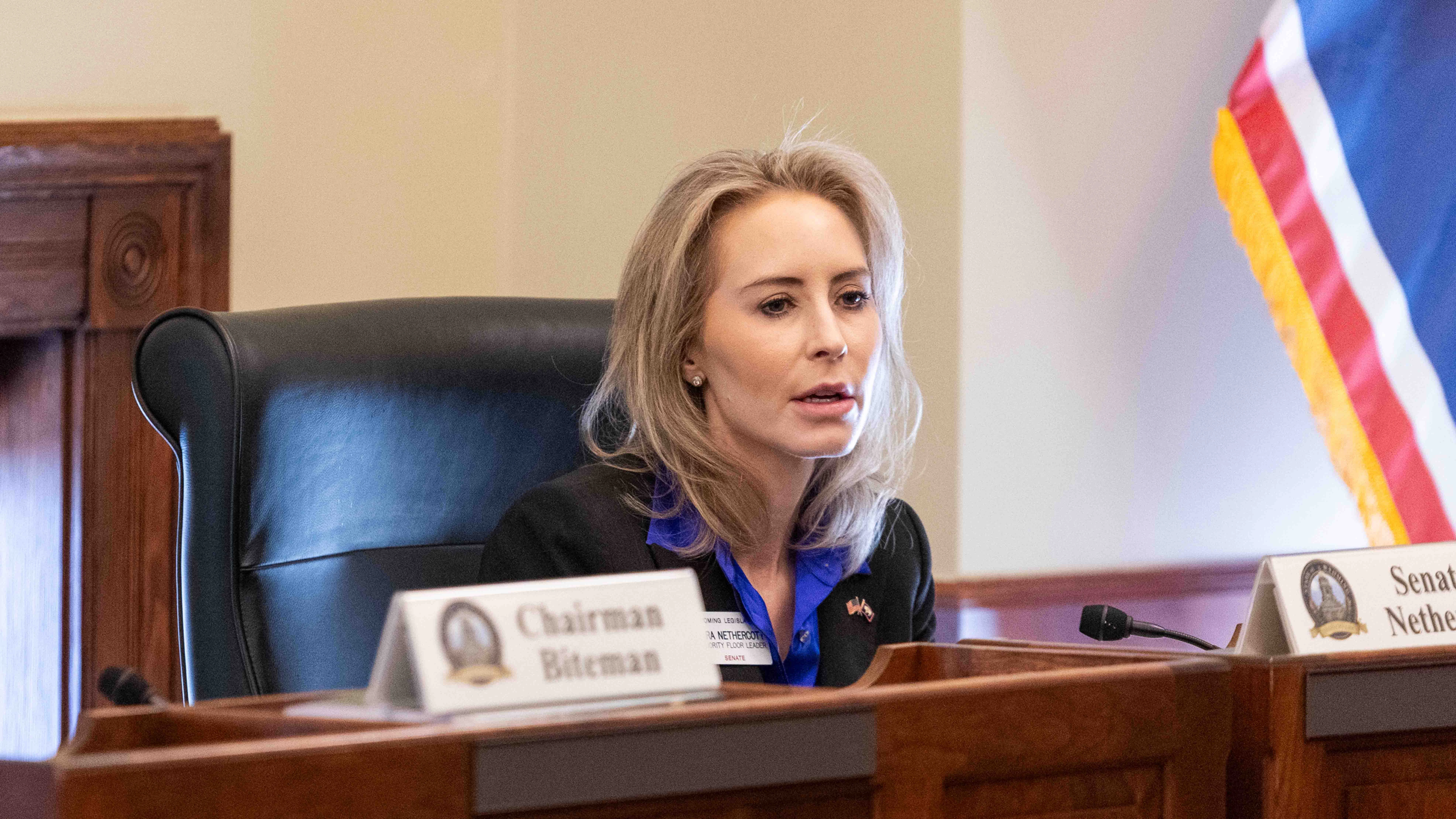 State Sen. Tara Nethercott, R-Cheyenne