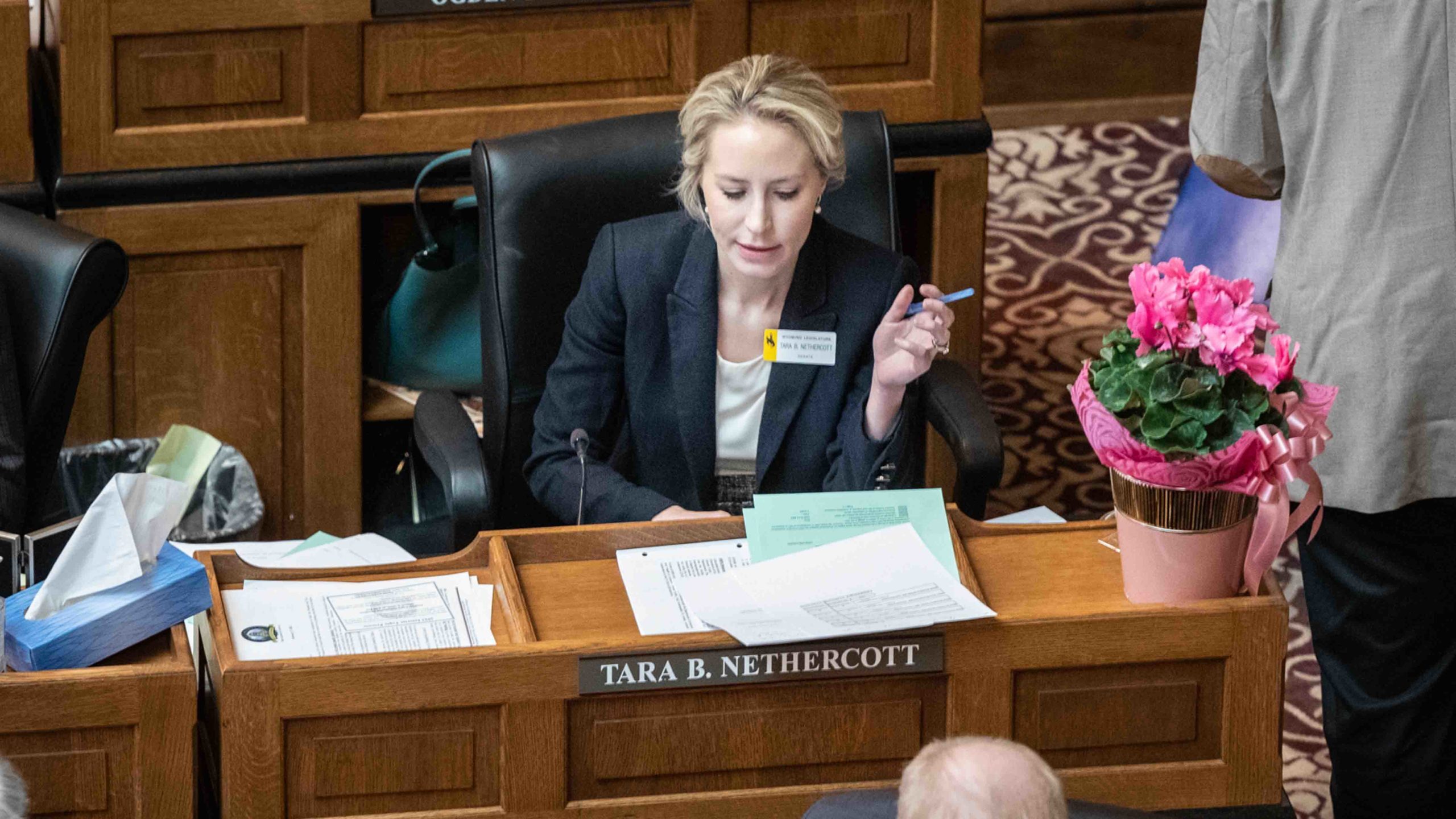 Nethercott legislature 2 28 22 scaled