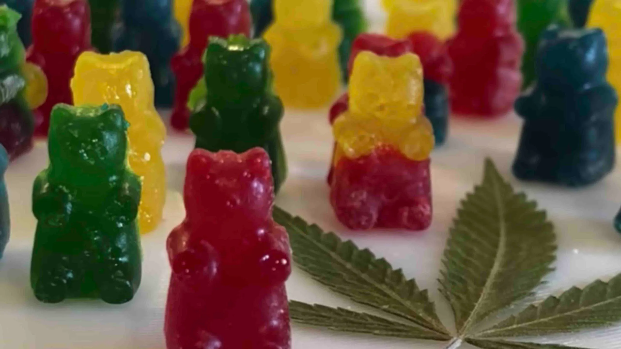 Newcastle gummi scaled