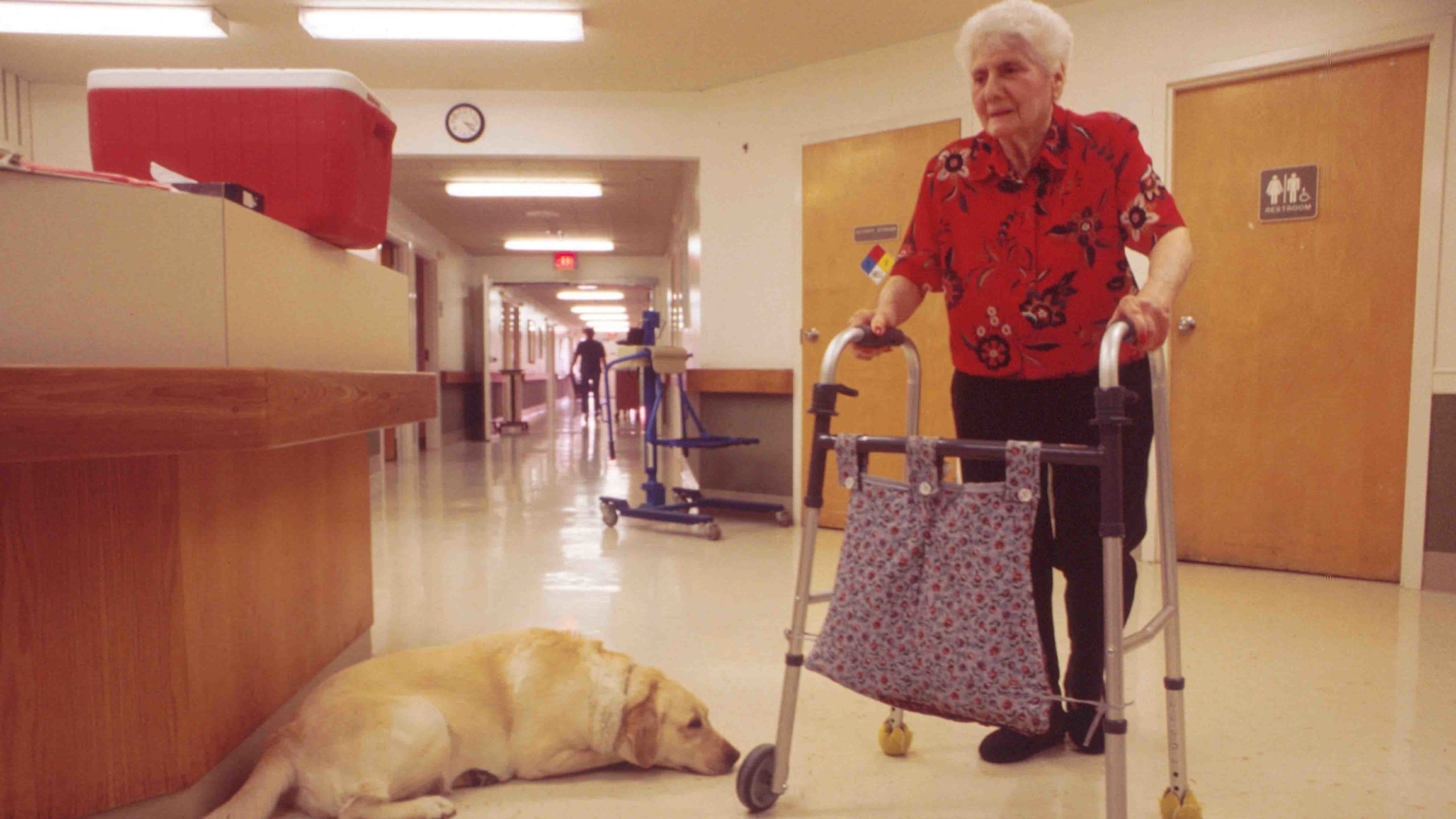 60 Of Wyoming Nursing Homes Are Understaffed Your Wyoming News Source
