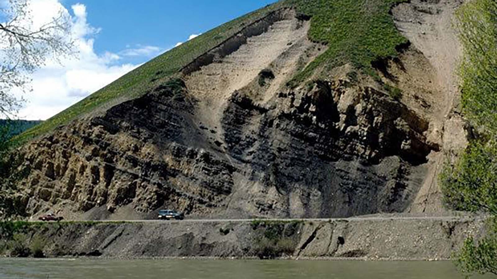 The Phosphoria Formation in Wyoming is mostly deep underground, where it’s been a longtime oil and gas producer. Here in Phosphoria Gulch, Idaho, the formation surfaces. As it does in an outcrop along Highway 89 between Hoback and Alpine. The Meade Peak Member is the dark, organic-rich beds in the middle of the outcrop."