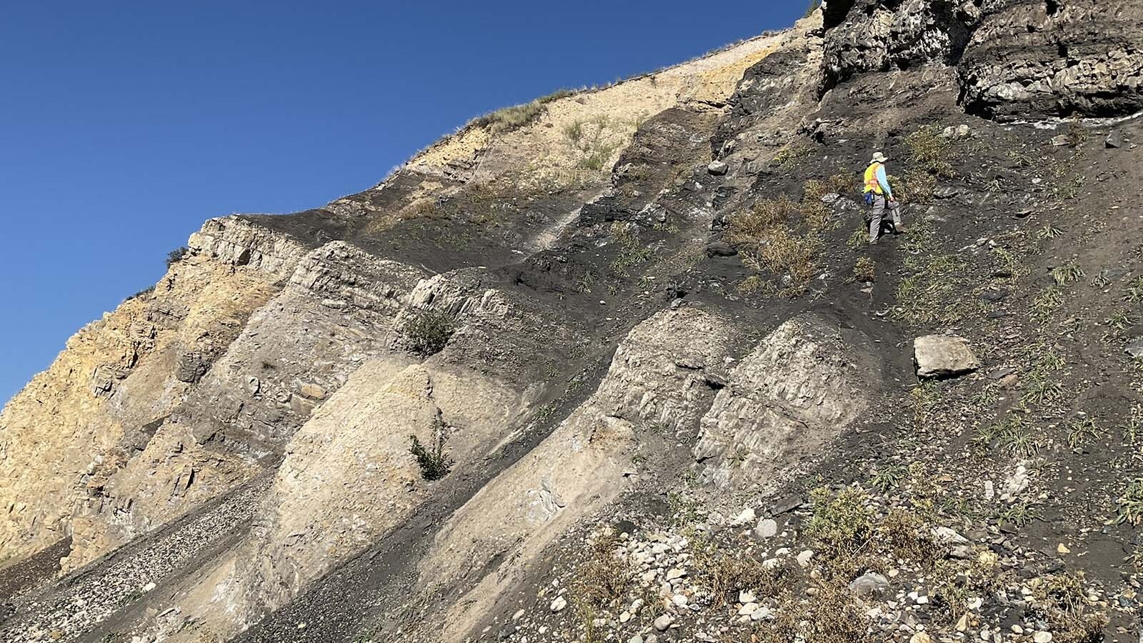 The Phosphoria Formation in Wyoming is mostly deep underground, where it’s been a longtime oil and gas producer. Here in Phosphoria Gulch, Idaho, the formation surfaces. As it does in an outcrop along Highway 89 between Hoback and Alpine. The Meade Peak Member is the dark, organic-rich beds in the middle of the outcrop."