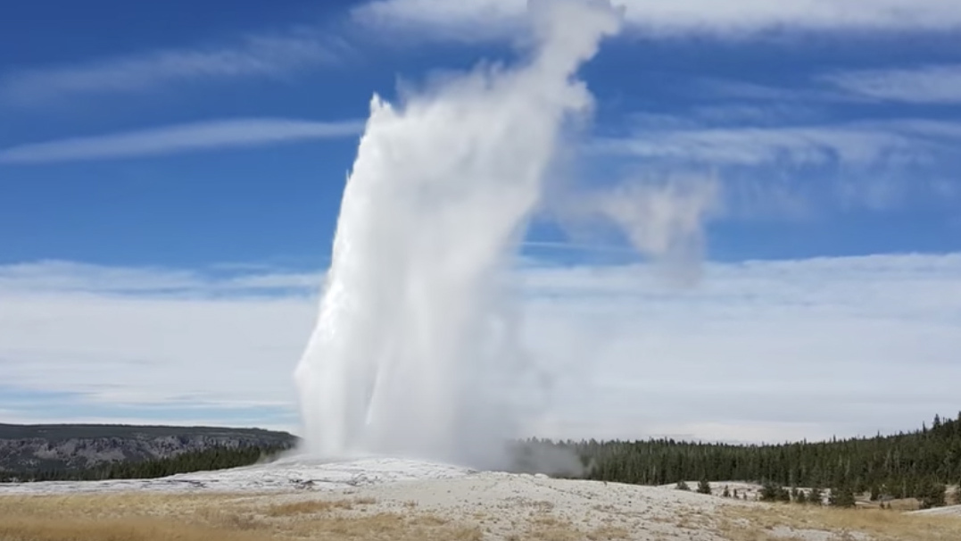 Old faithful ellen