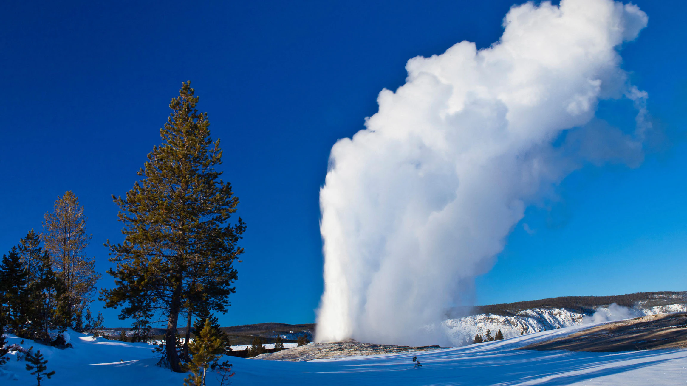 Old Faithful Geyser, Upper Geyser Basin, Yellowstone National Park