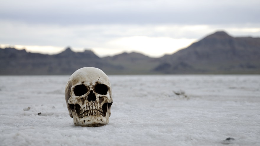 Old skull desert 10 29 24