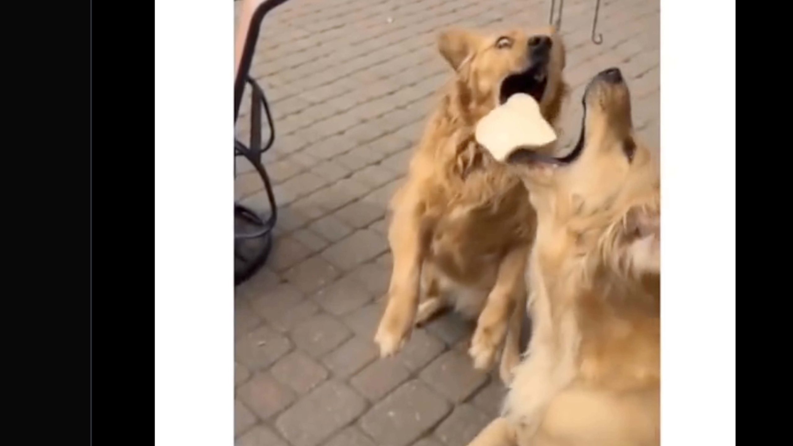 One for road 10 12 22 no play scaled