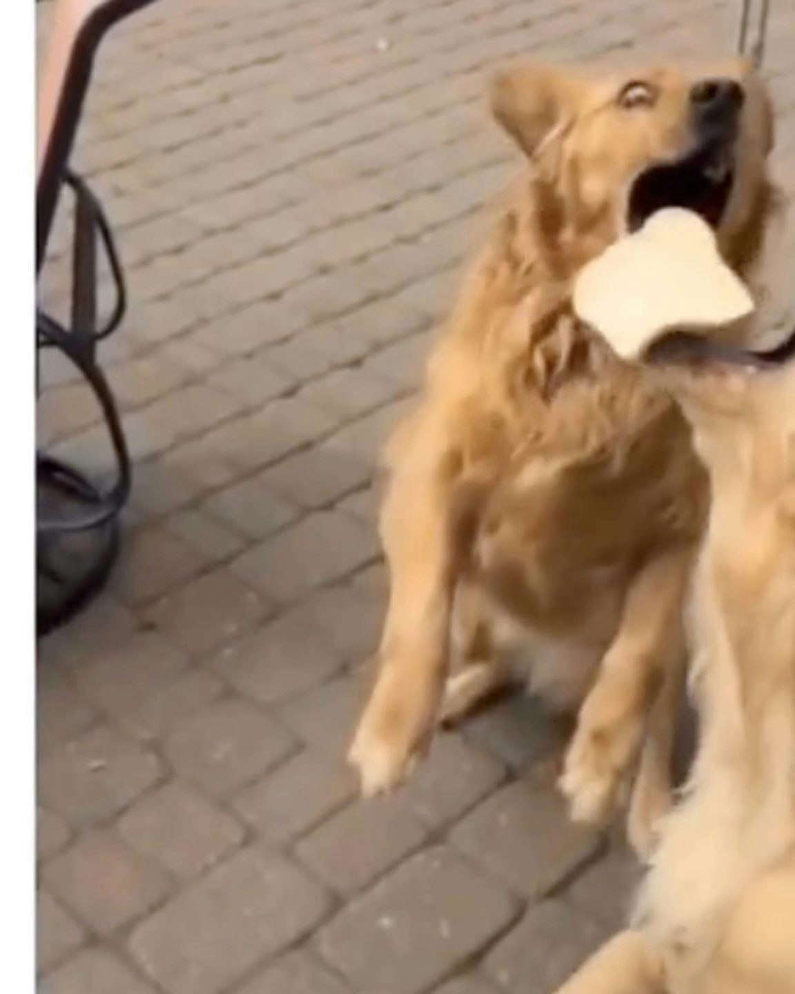 One for road 10 12 22 no play scaled